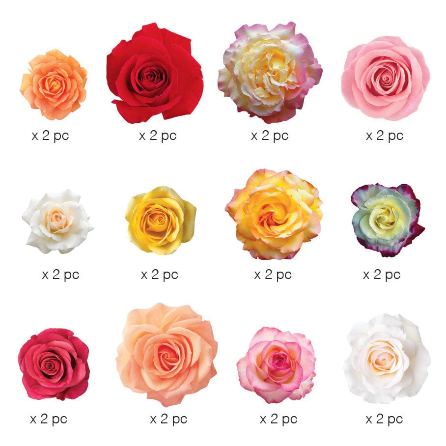 Die Cut Scrapbook Sticker Pack - Roses、mySite、ghnorth