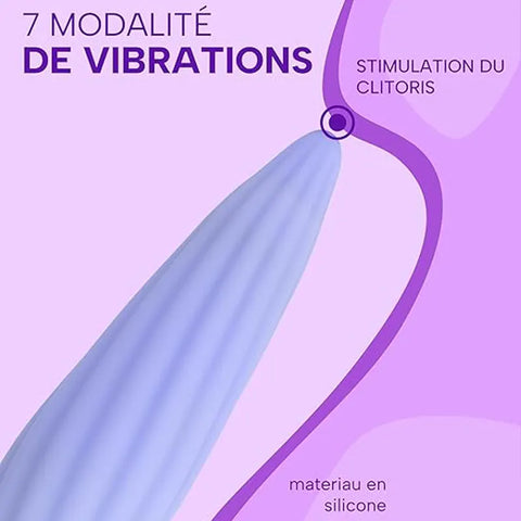 Remote Spindle Anal Vibrator