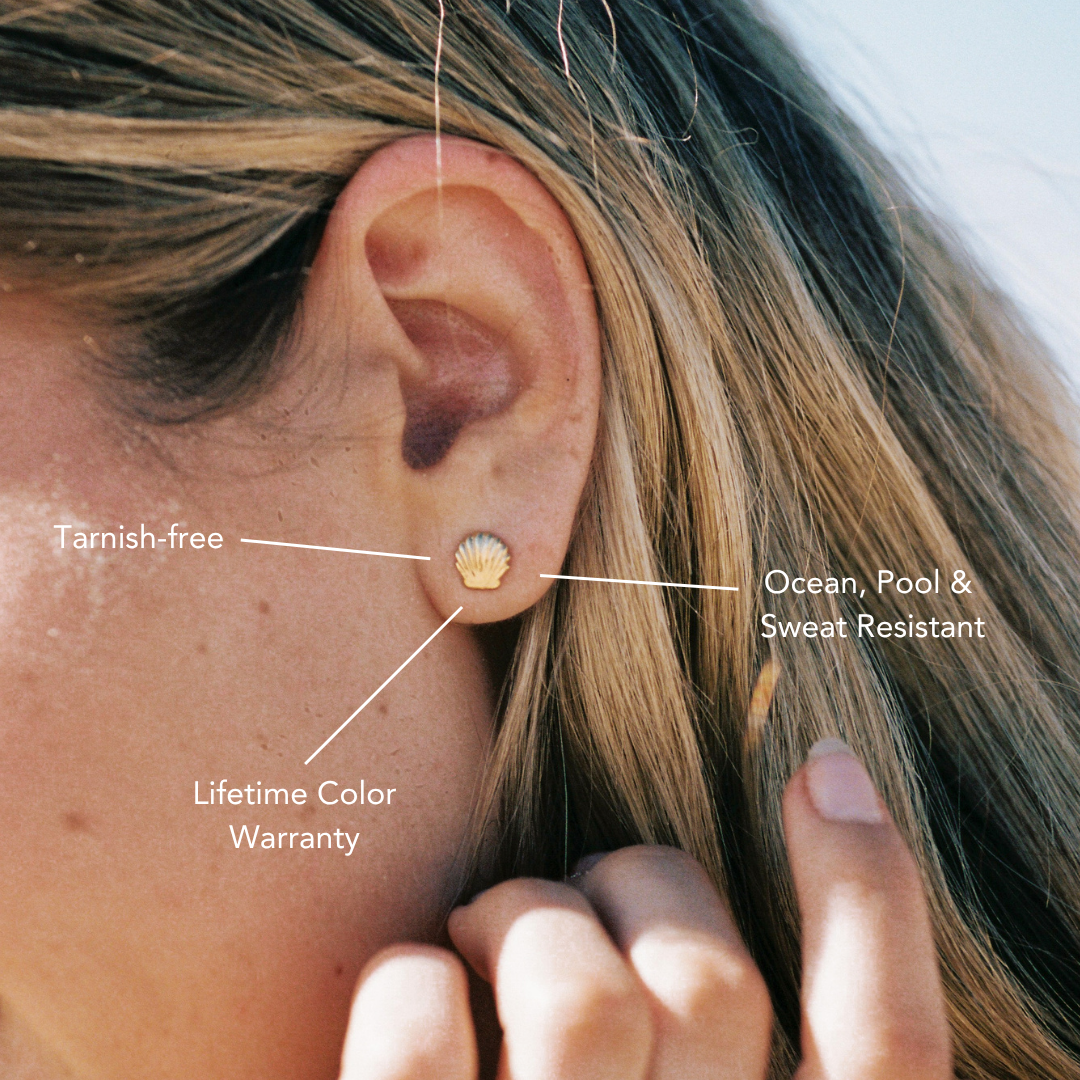 Shell Stud Earrings、mySite、hinf8tx79