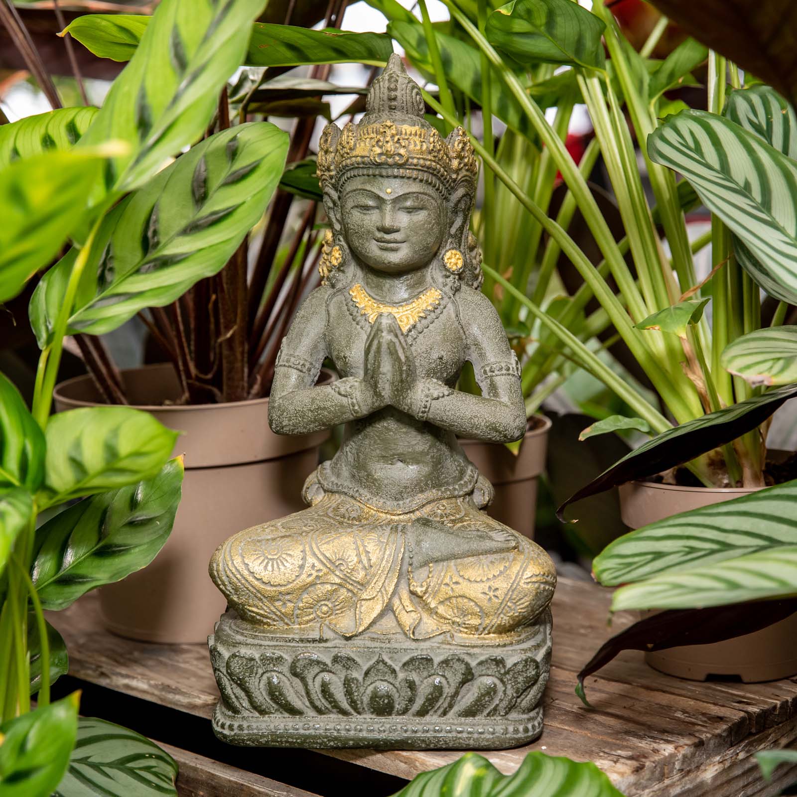 Tara Praying Statue、mySite、topwebapps