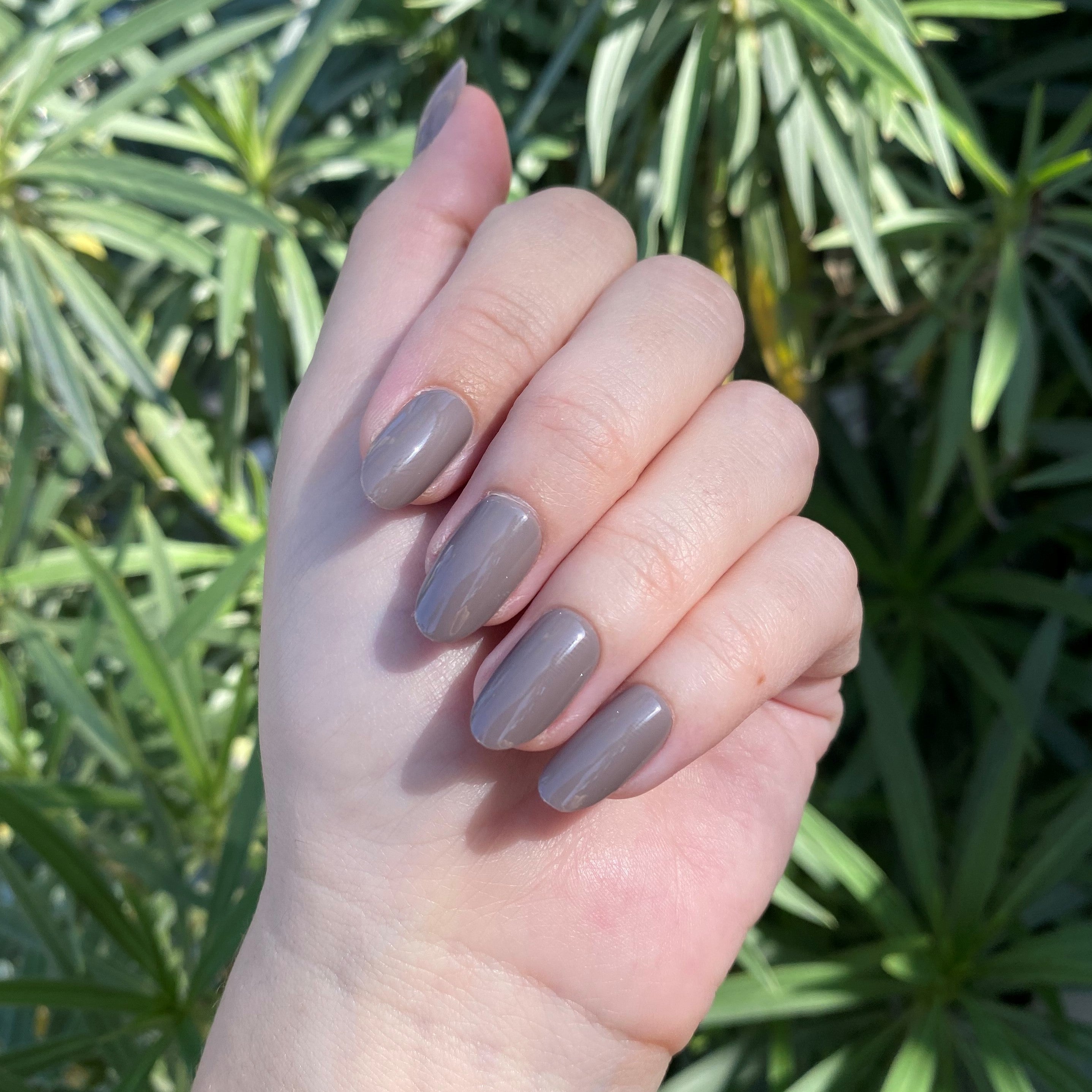 AW - Press-On | Medium | Oval、mySite、solidvoid