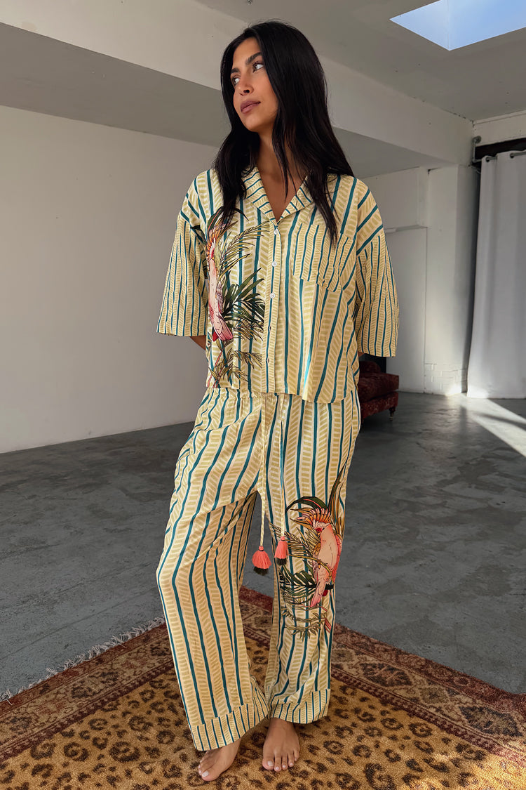 Toucan Button Through Set、mySite、solidvoid