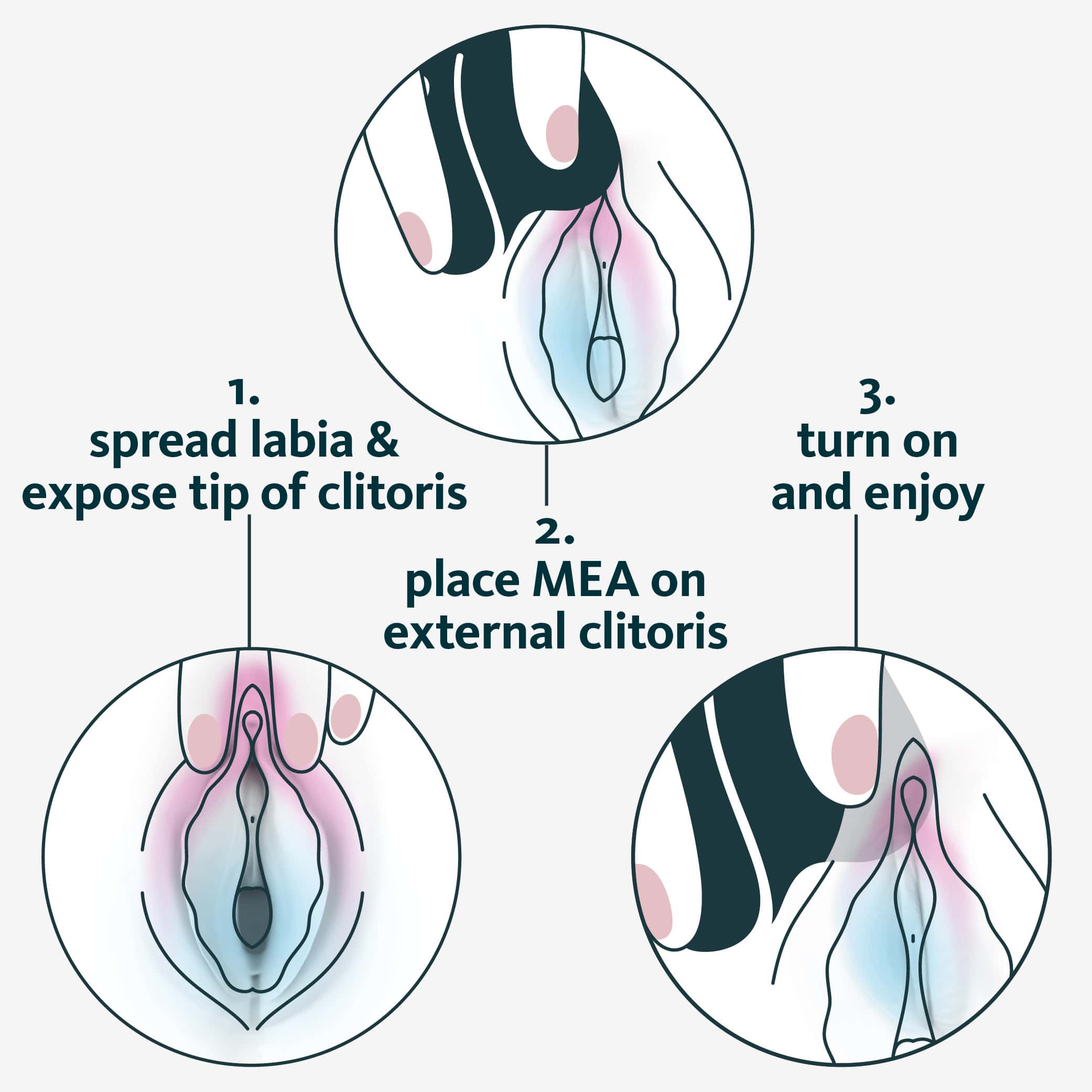 MEA、mySite、bottomscart
