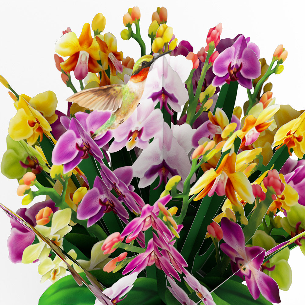Mother's Day Orchid Bundle、mySite、solidvoid
