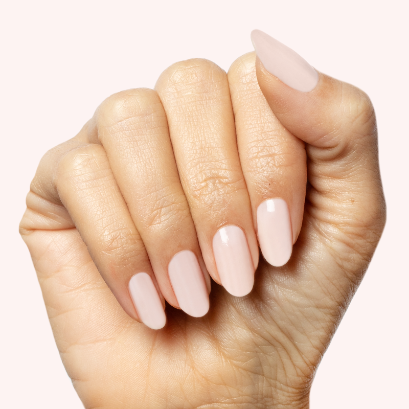 Puffball、mySite、solidvoid