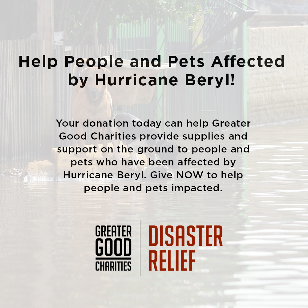 Help People and Pets Affected by Hurricane Beryl、mySite、camillekostekn