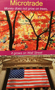 Microtrade: Money Does Not Grow on Trees, It Grows on Wall Street、mySite、topwebapps