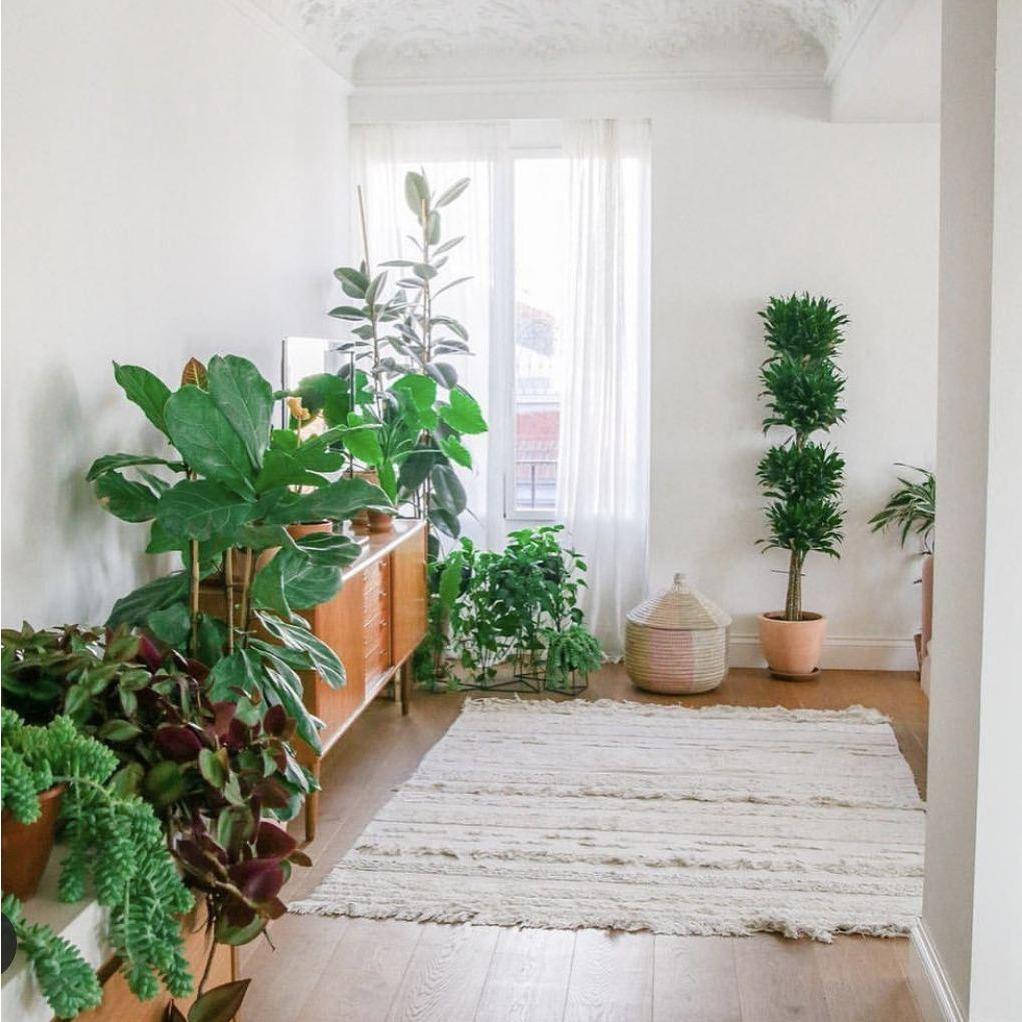 Air Dune White Natural Machine Washable Area Rug、mySite、gigharbornorthrealestate