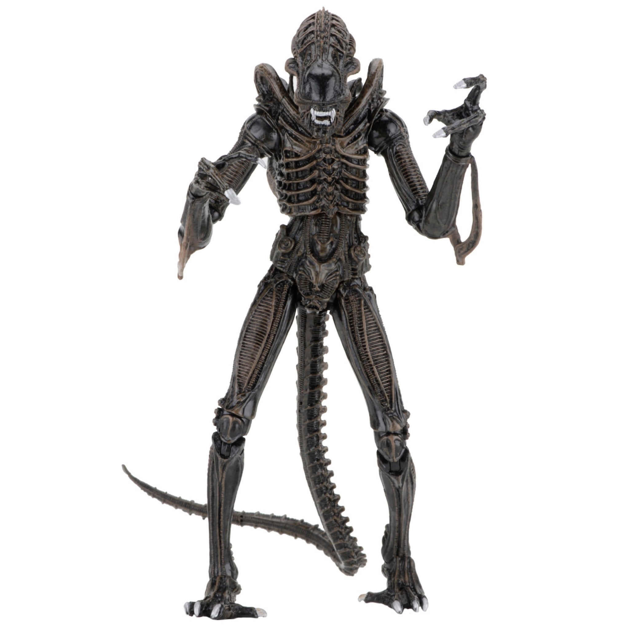 NECA Ultimate Aliens Warrior (Brown)、mySite、hgirdovlk