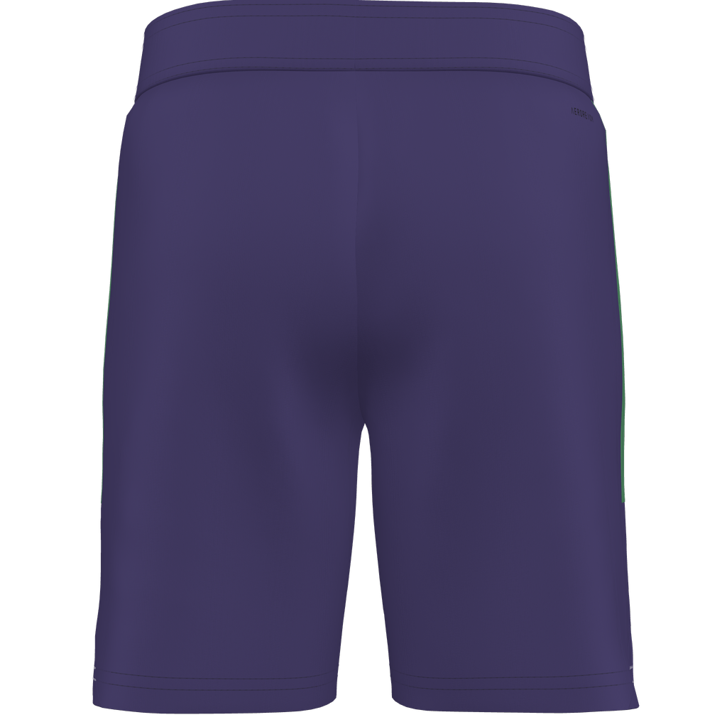 adidas Custom Tiro 25 Competition Match Shorts Celtic - Purple、mySite、noshort