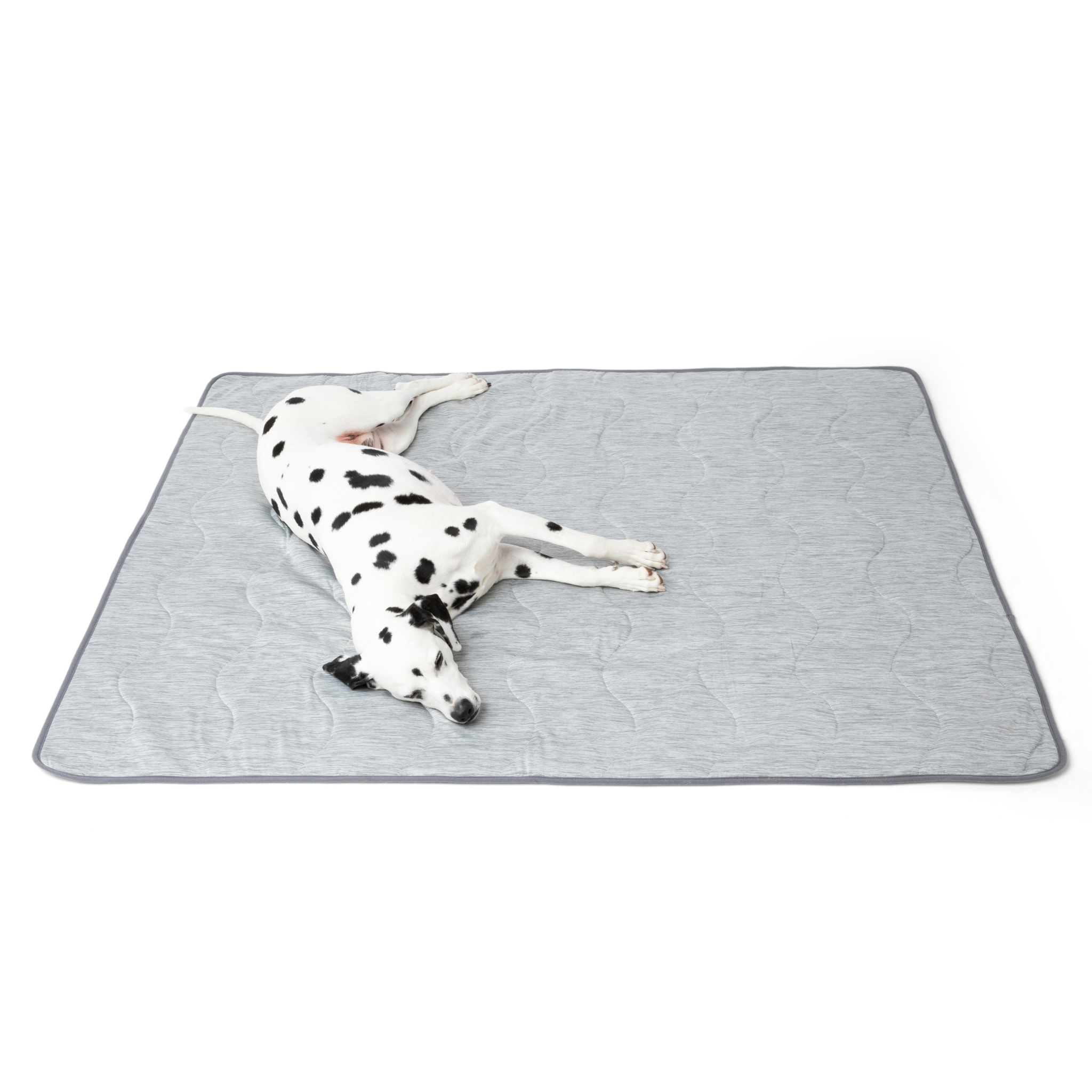 PupChill™ Cooling Bolster Dog Bed + Waterproof Blanket Bundle - Arctic Grey、mySite、solidvoid