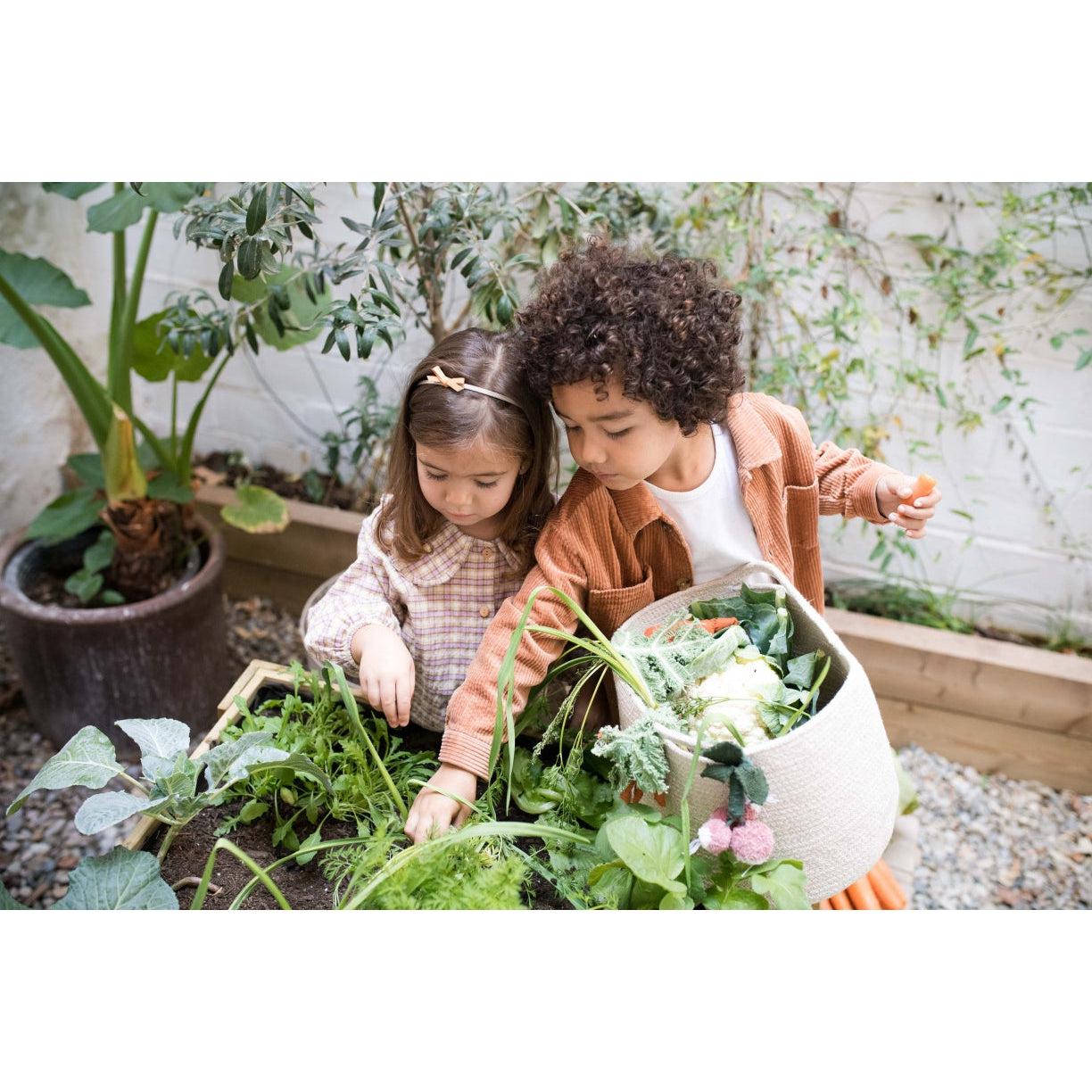 Oli & Carol Veggies Basket、mySite、gigharbornorthrealestate