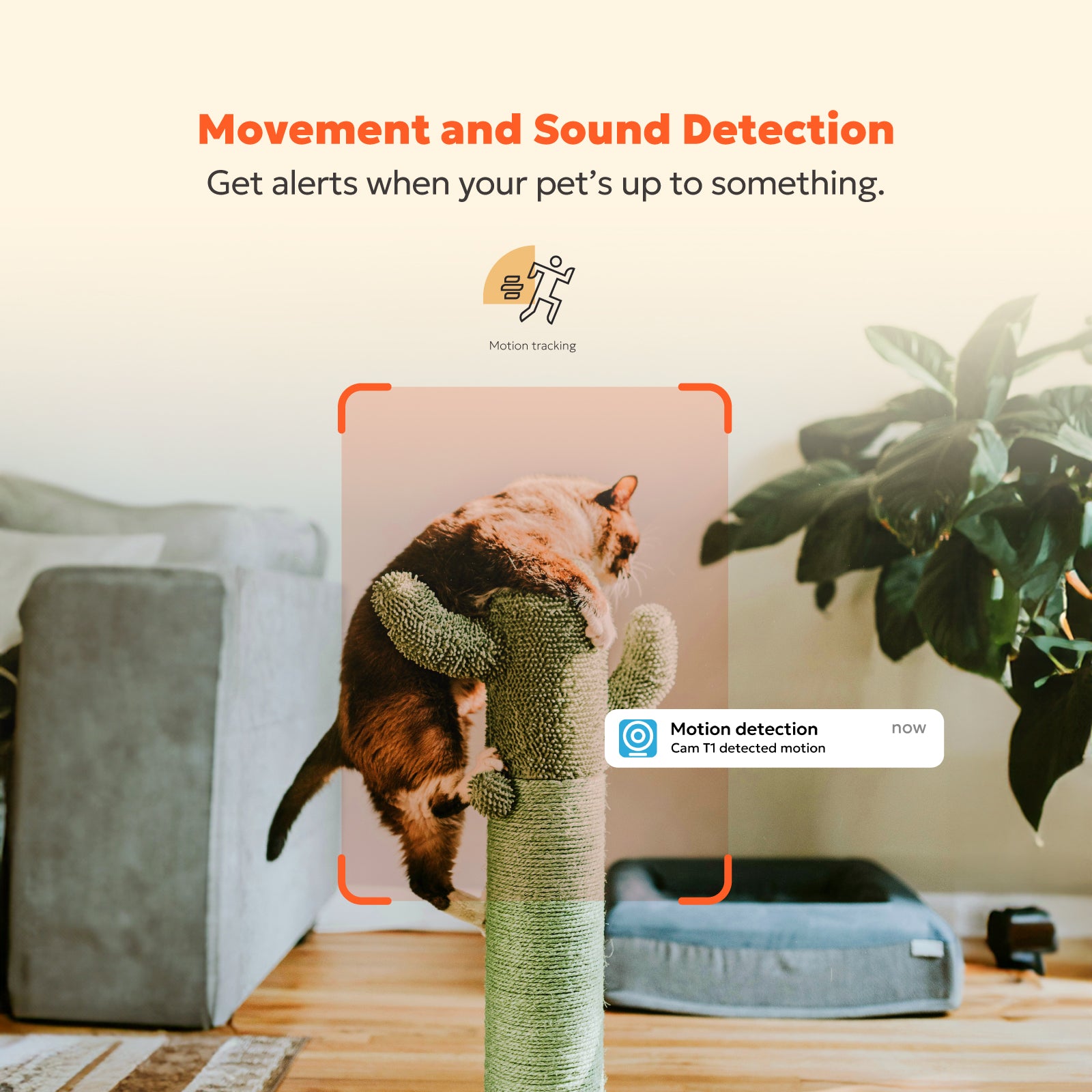 2K Indoor Camera - T1 (Wired)、mySite、fannypackpong