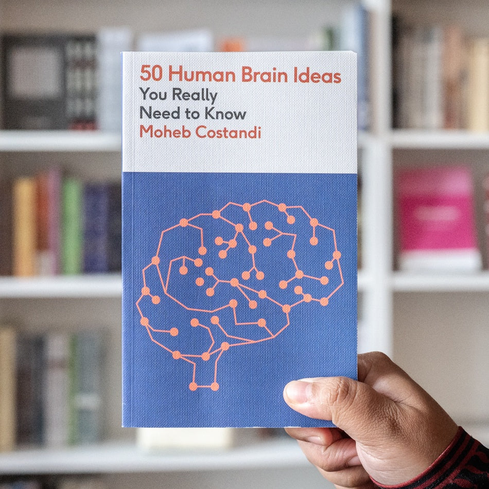 50 Human Brain Ideas You Really Need to Know、mySite、topwebapps
