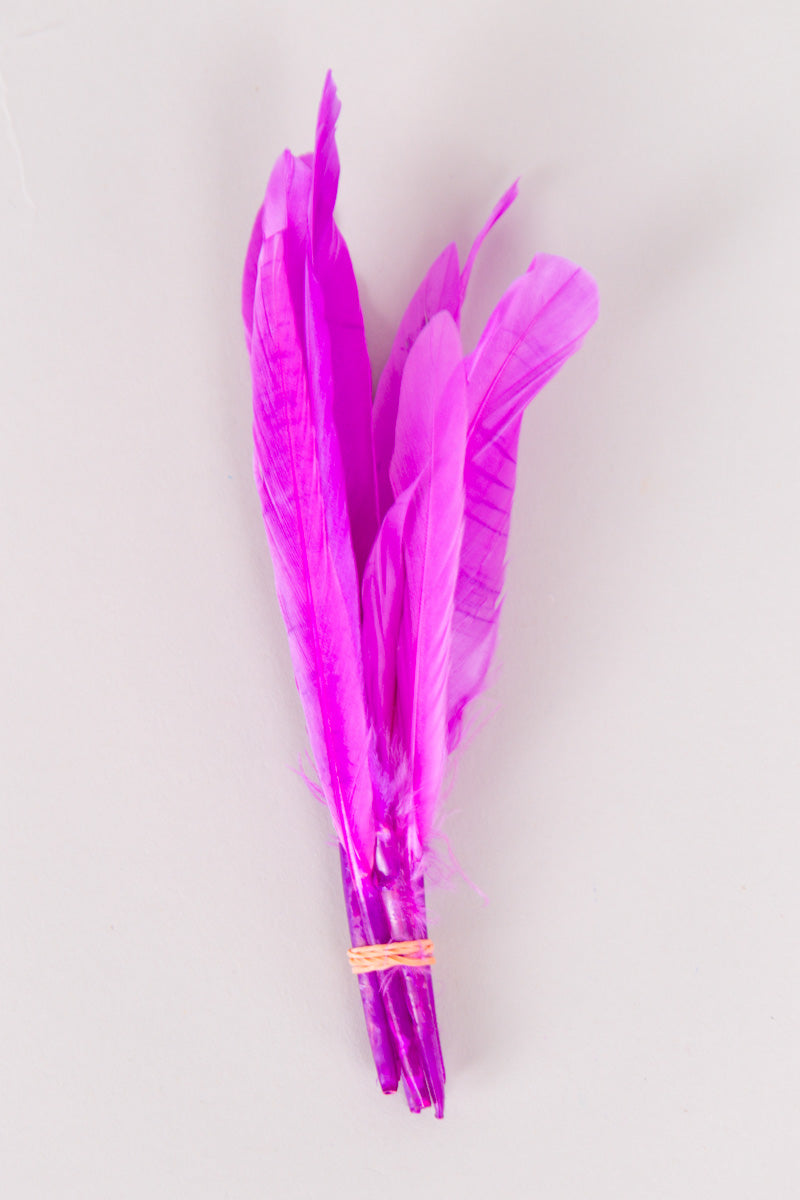 Mini Goose Feathers Bundle of 6- Orange Rubber Band - FINAL SALE、mySite、hinf8tx79