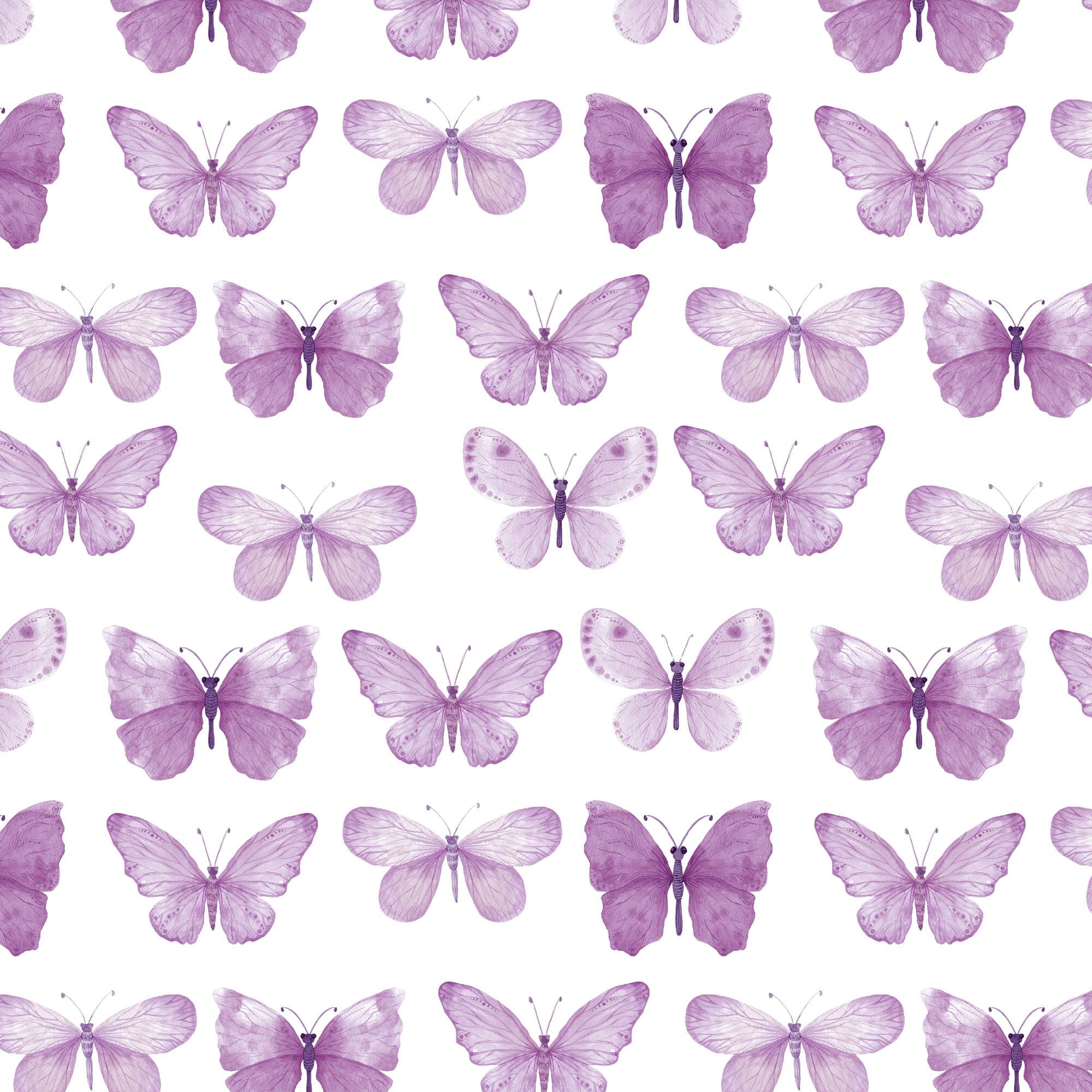  Purple Watercolor Butterflies 12 x 12 Paper、mySite、ghnorth