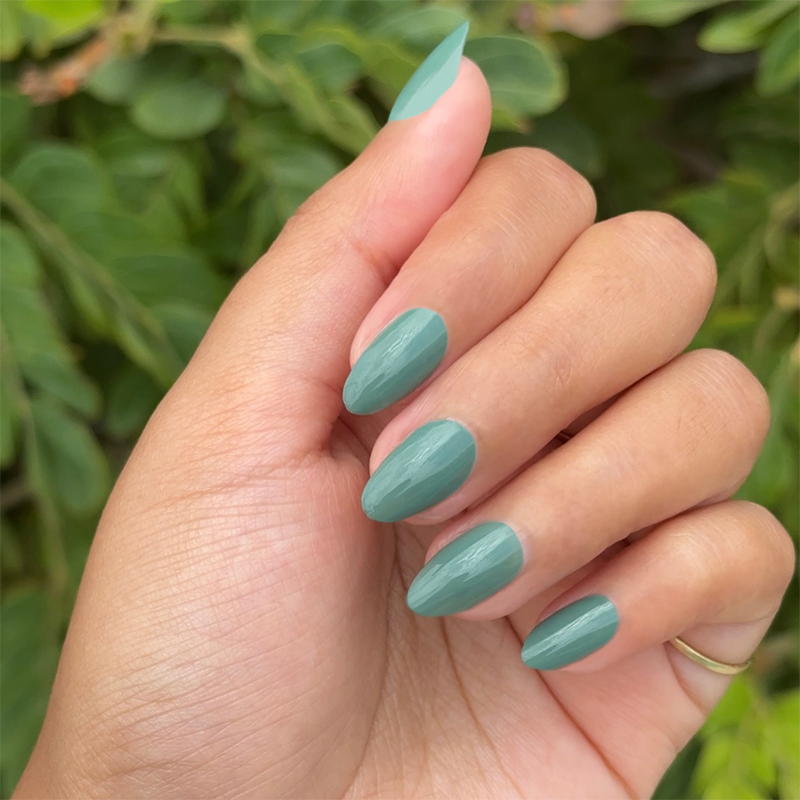 Still Life of Flowers、mySite、solidvoid