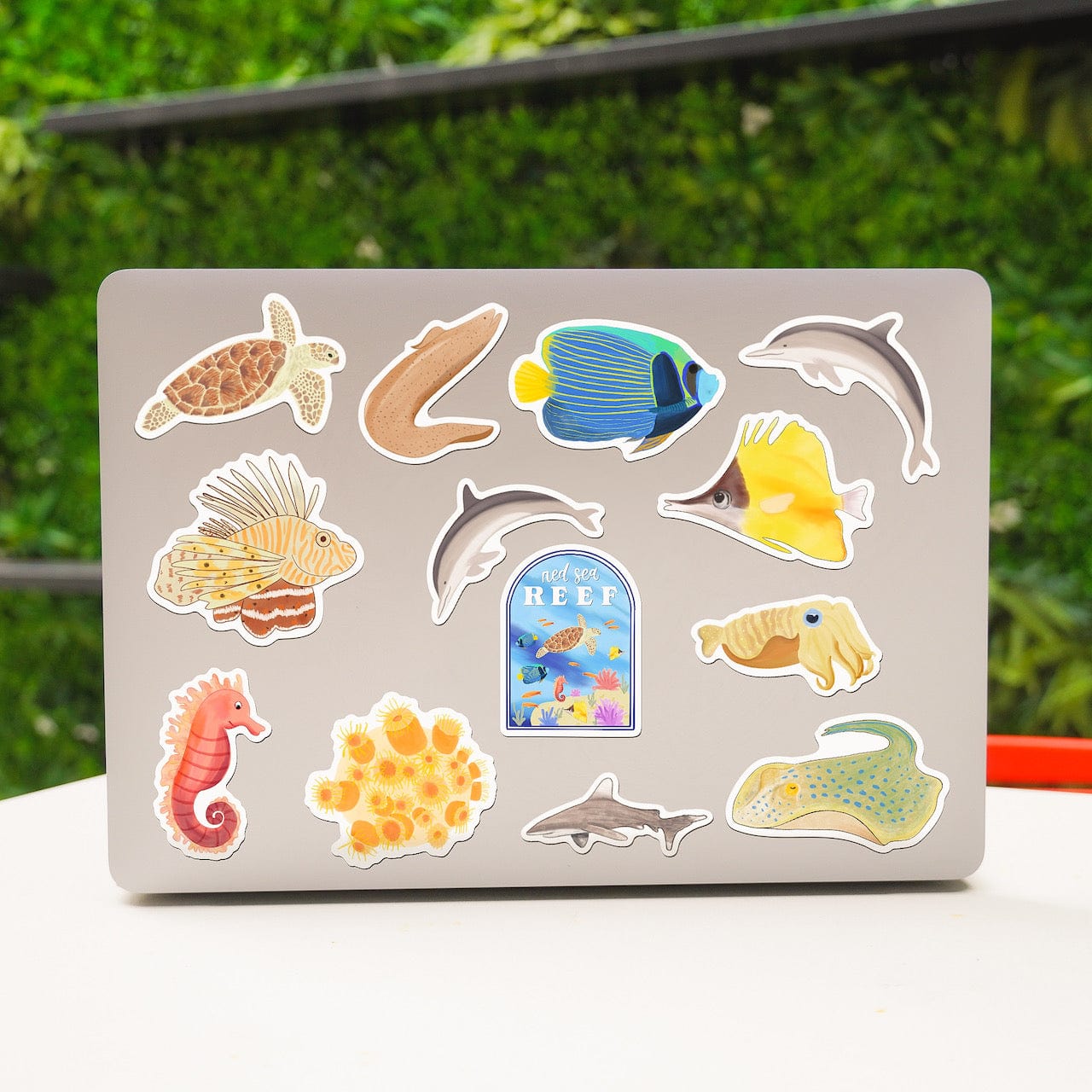  The Red Sea Ocean Animals 12-Pack、mySite、elrpsem3k