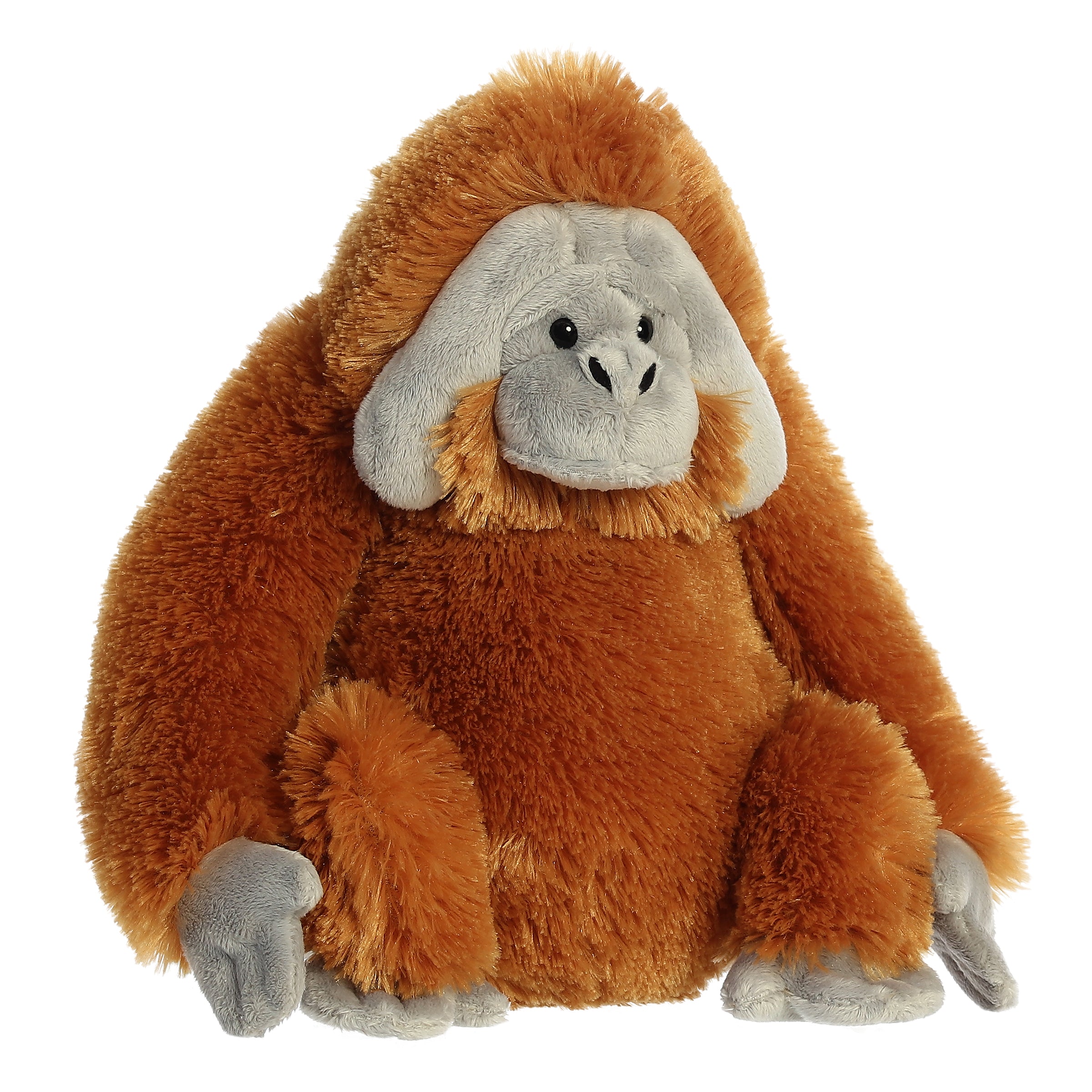 Aurora® - Destination Nation™ - 12 Orangutan、mySite、g9winljtr