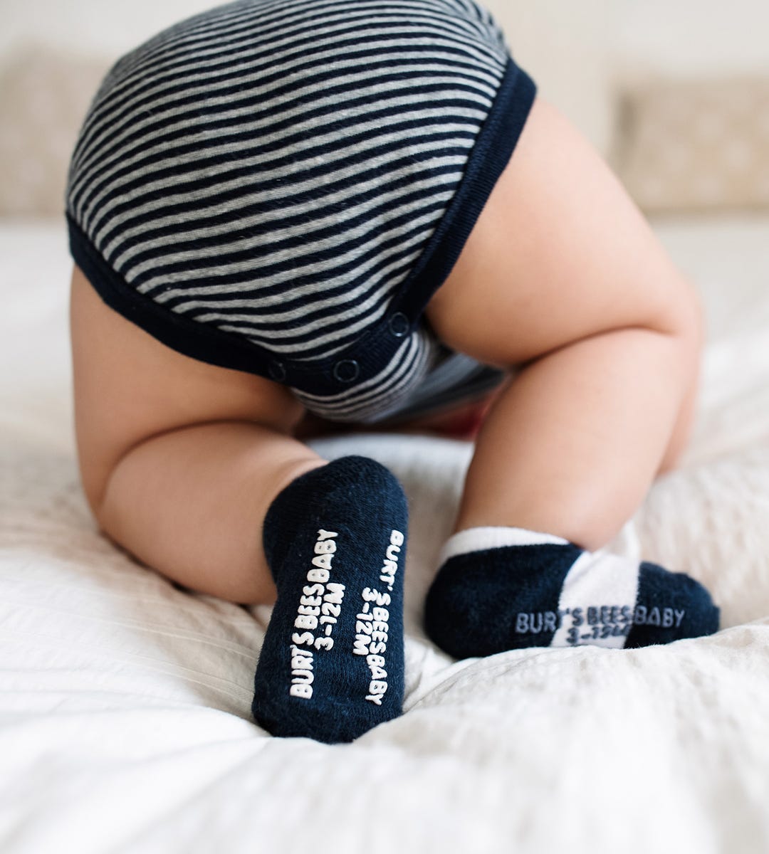  Solid & Stripes Organic Cotton Baby Ankle Socks 6 Pack、mySite、layawaytickets