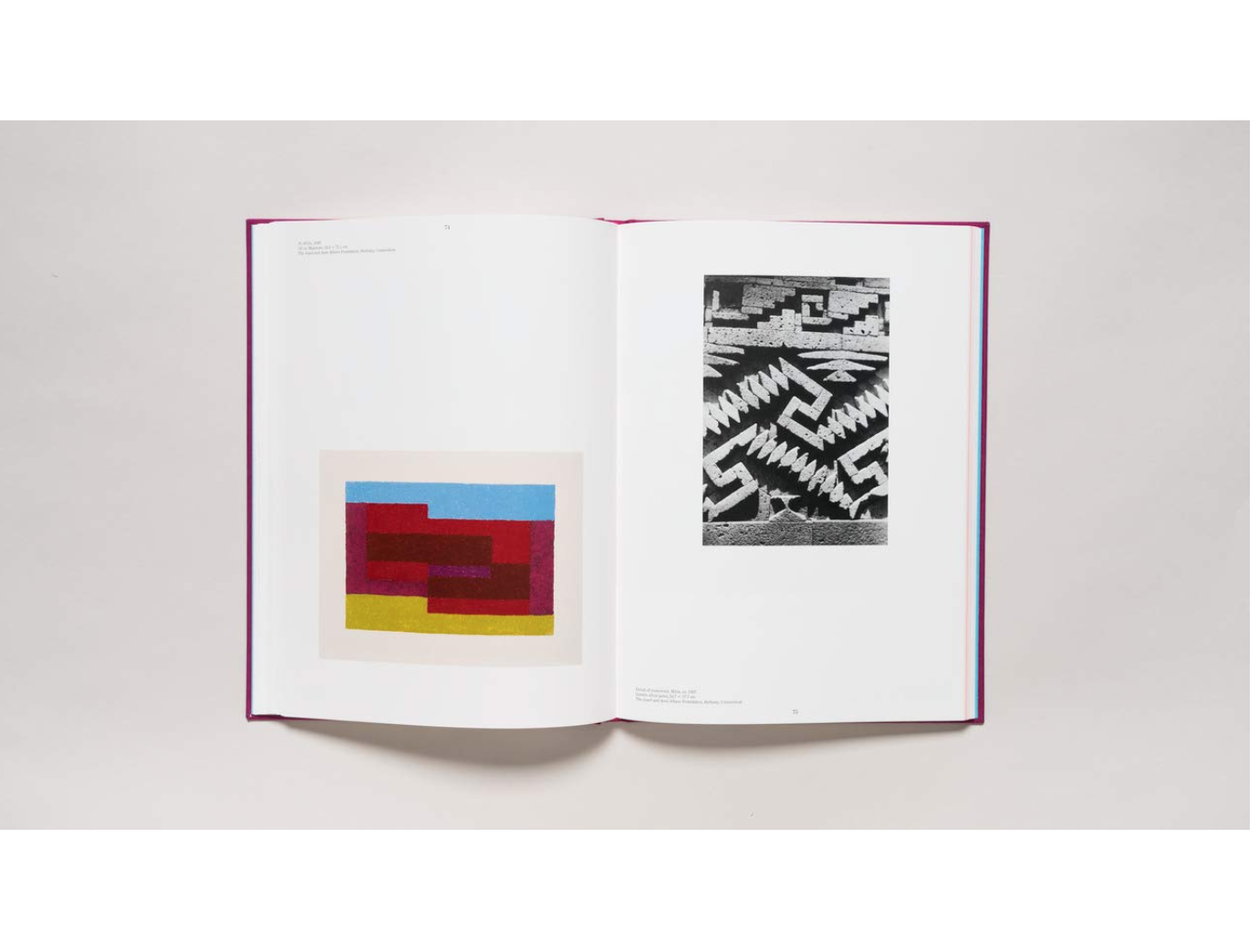 DAP - Josef Albers in Mexico、mySite、garagedoors4me