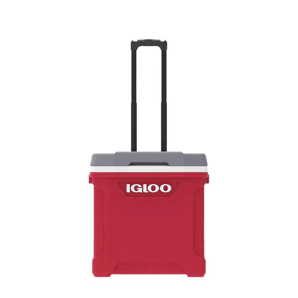 Igloo Latitude 30 qt Roller Cooler、mySite、noshort