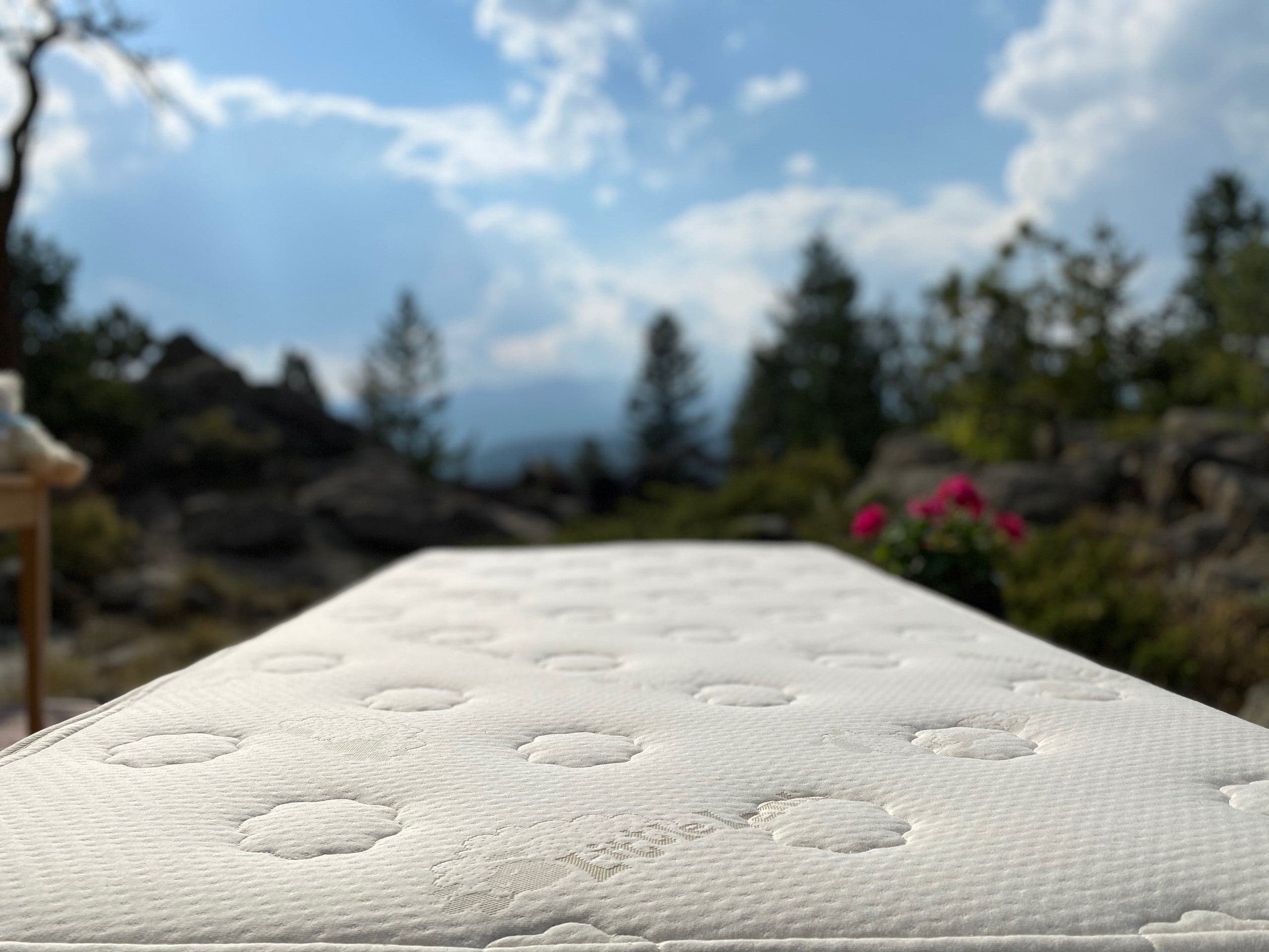 Suite Sleep Little Lamb Botanical Latex Mattress、mySite、neckold