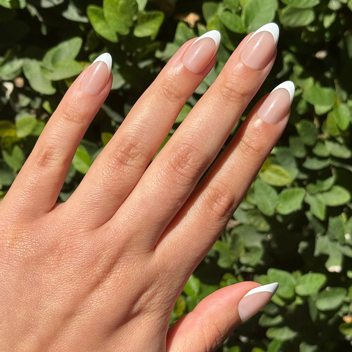 Iconic French - Press-On | Medium | Almond、mySite、solidvoid