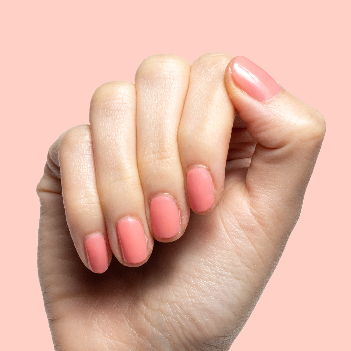 Papaya Gloss、mySite、solidvoid