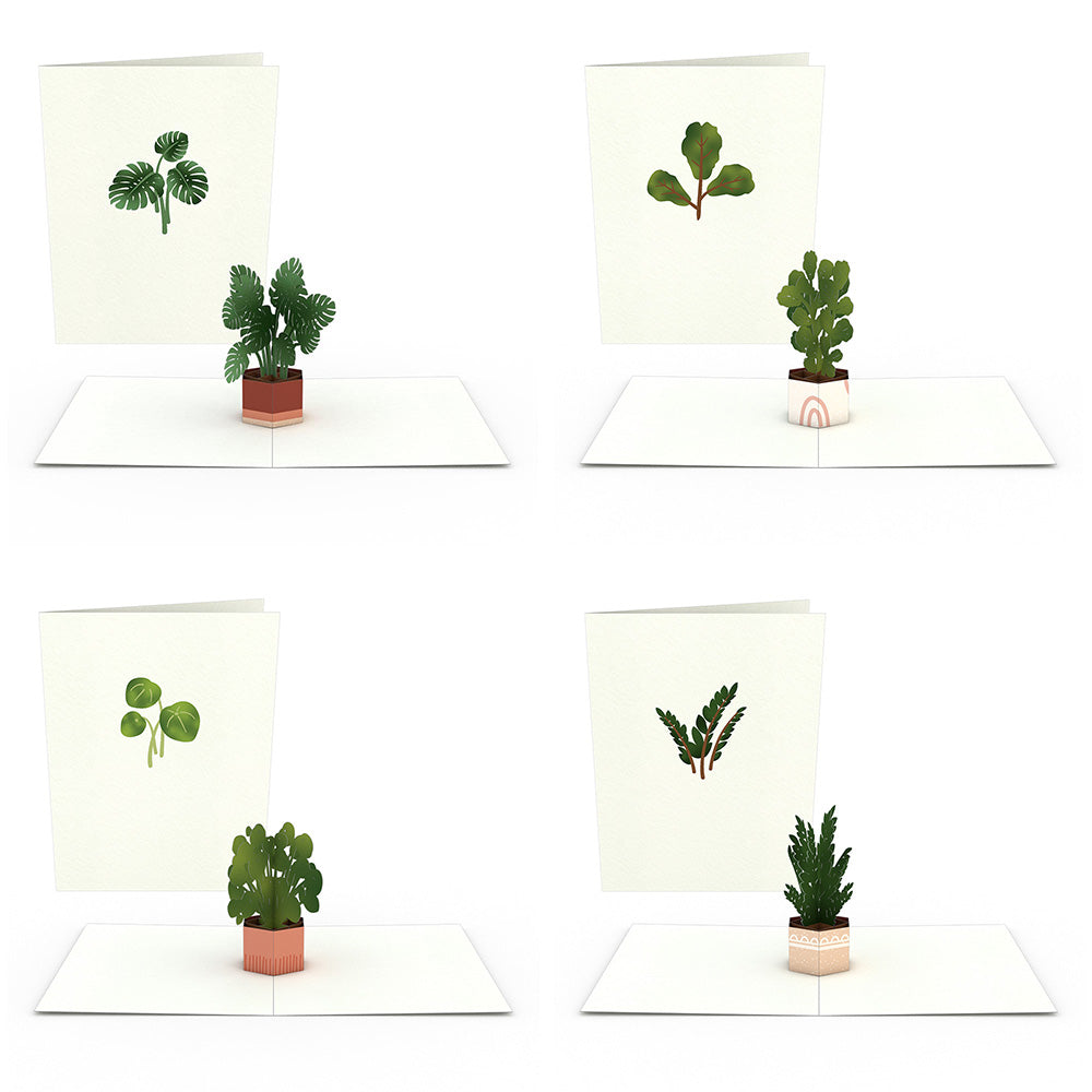 Plants Notecards (Assorted 4-Pack)、mySite、solidvoid