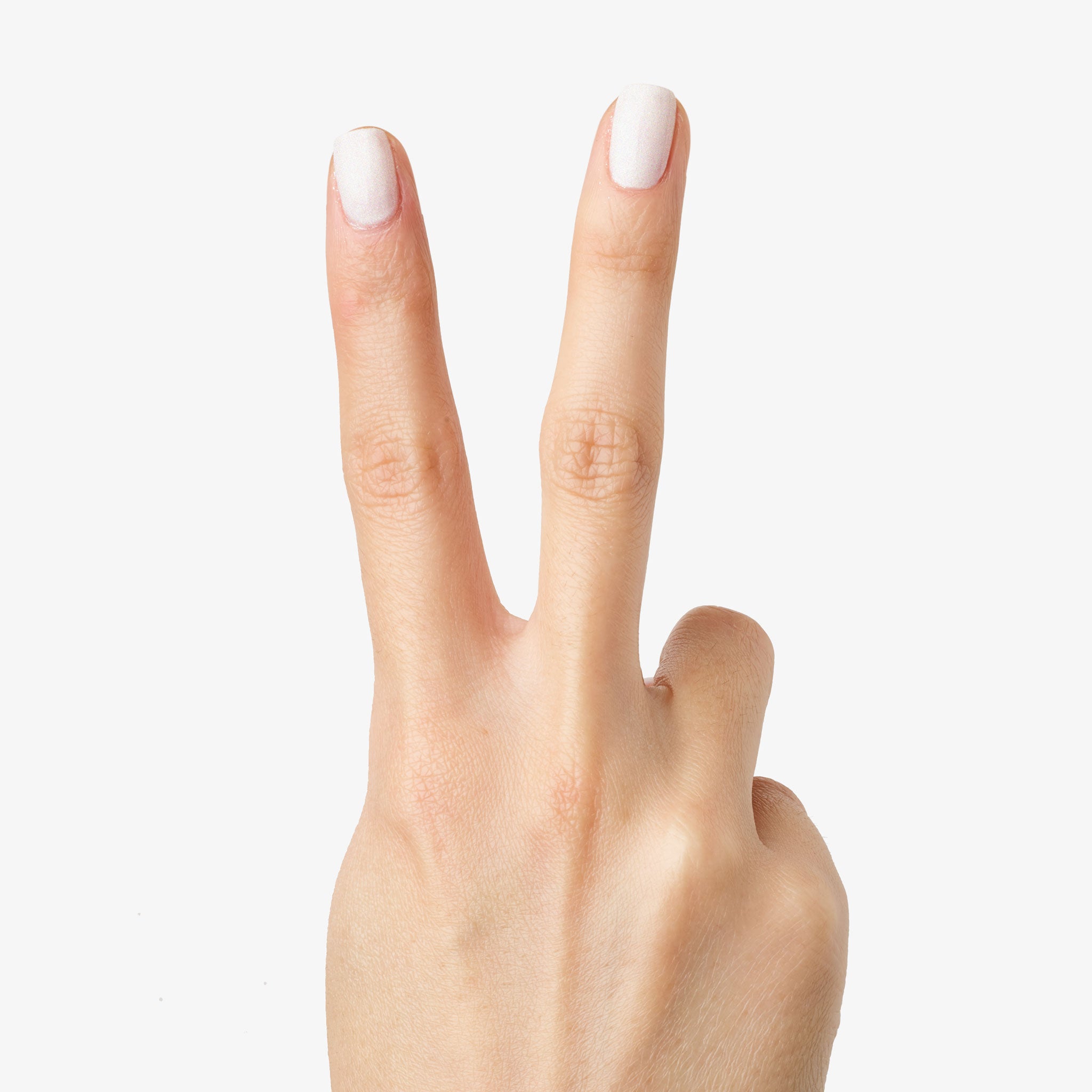 STELLAR、mySite、solidvoid