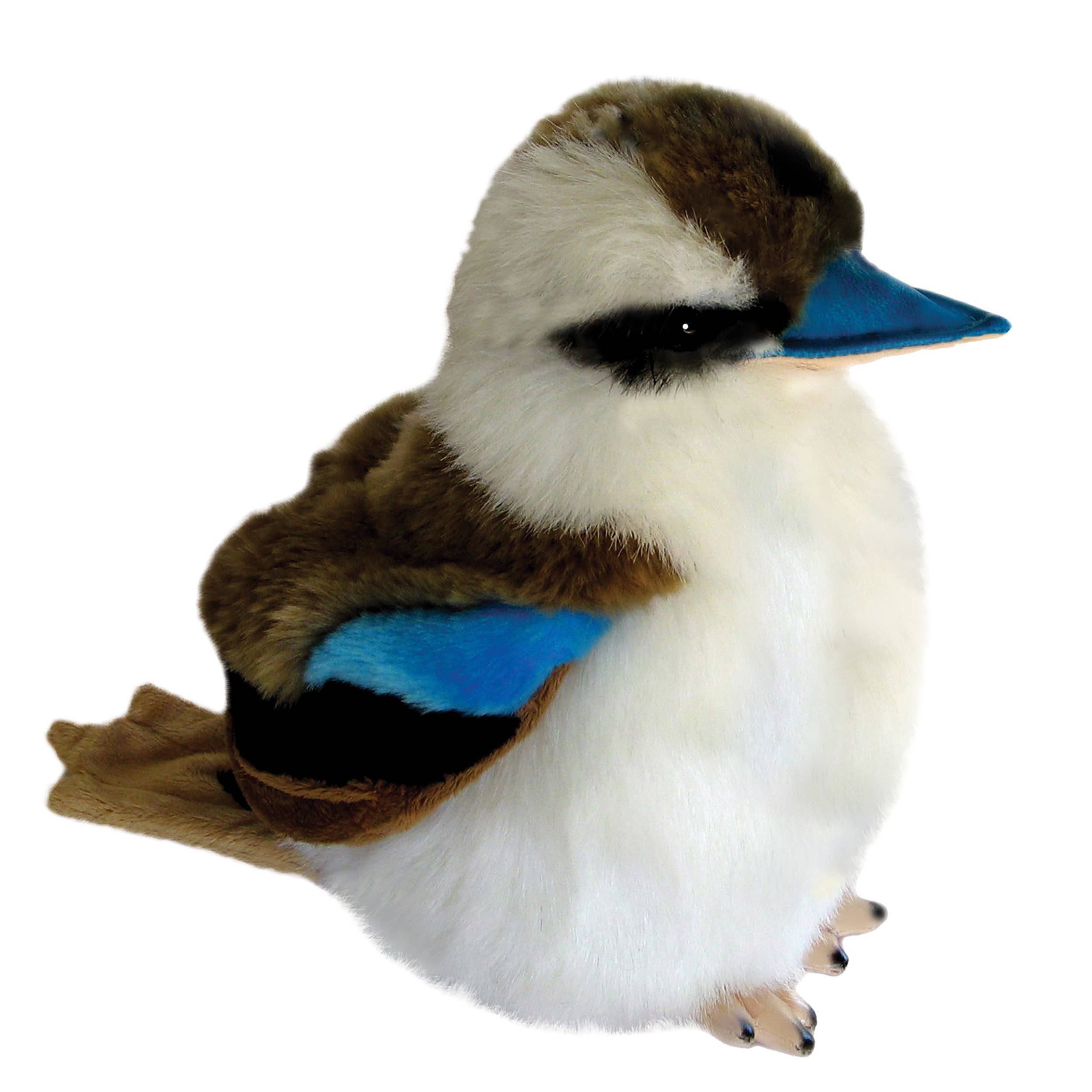Plush Realistic Australian Kookaburra Size 20cm/8、mySite、g9winljtr