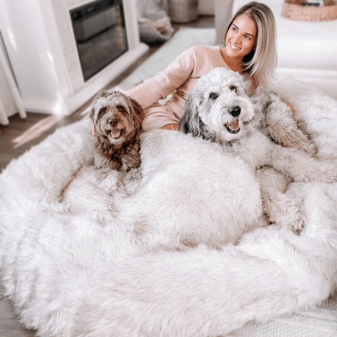 PupCloud™ Human-Size Faux Fur Memory Foam Dog Bed - White with Brown Accents、mySite、solidvoid