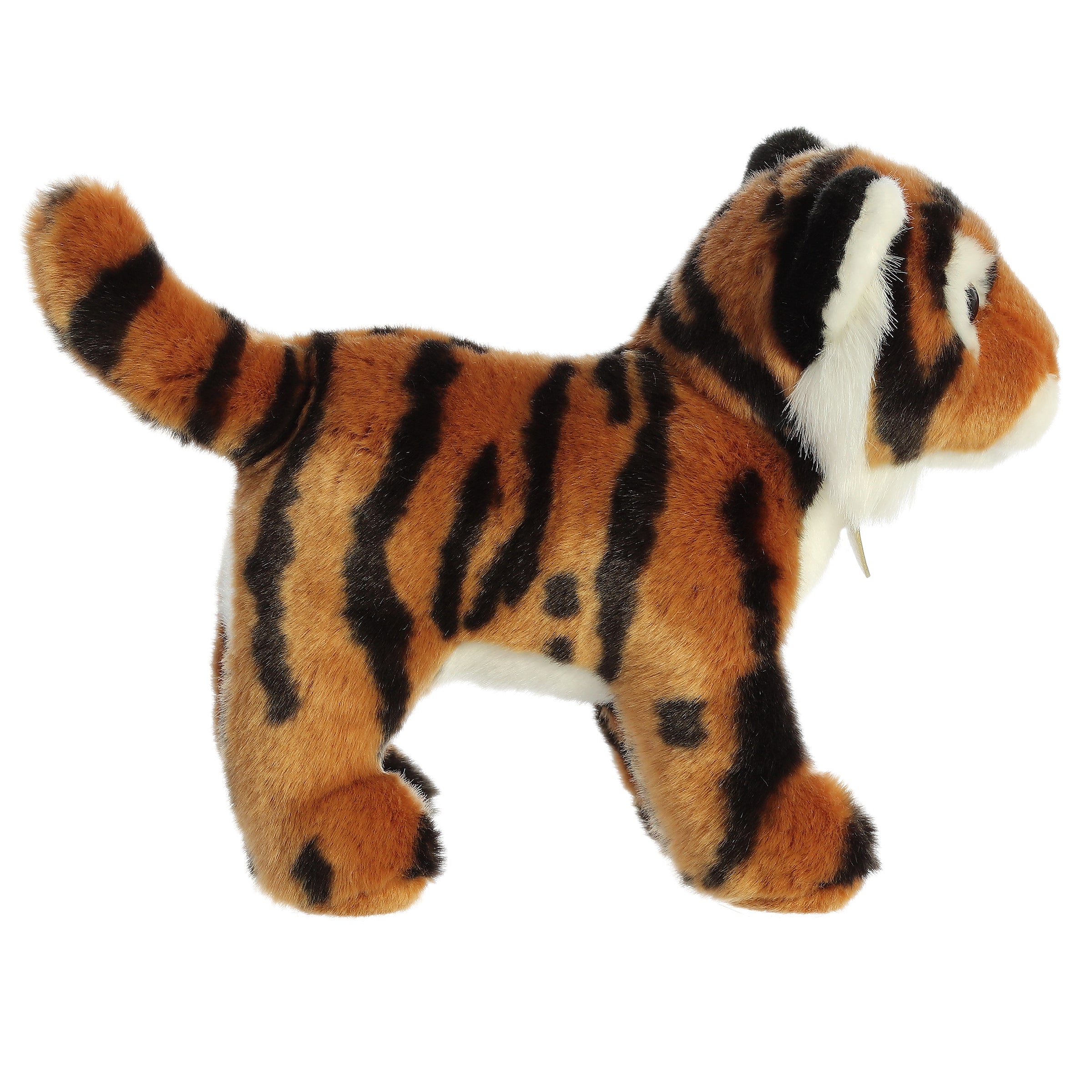 Aurora® - Miyoni® - 10 Bengal Tiger、mySite、g9winljtr