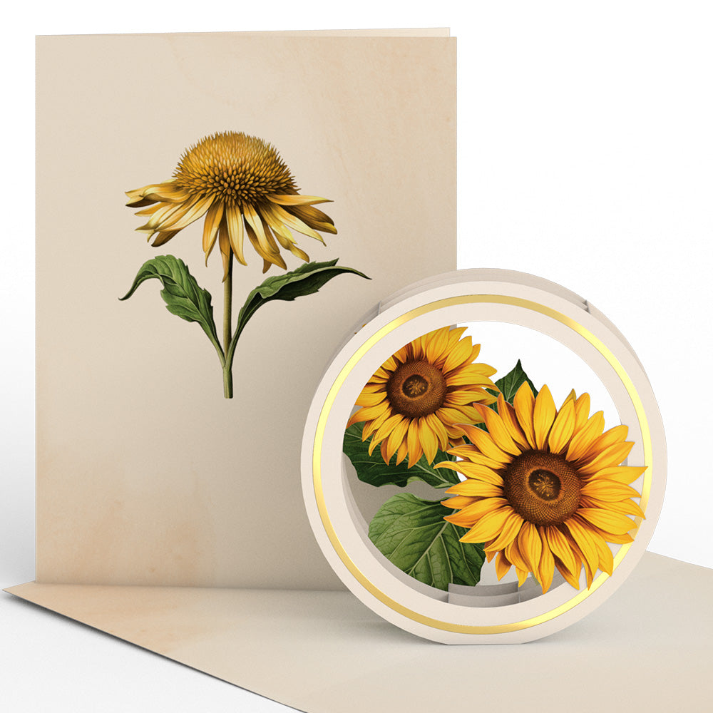 Beautiful Botanicals Box Set (Assorted 12-Pack): Paperpop® Card、mySite、solidvoid
