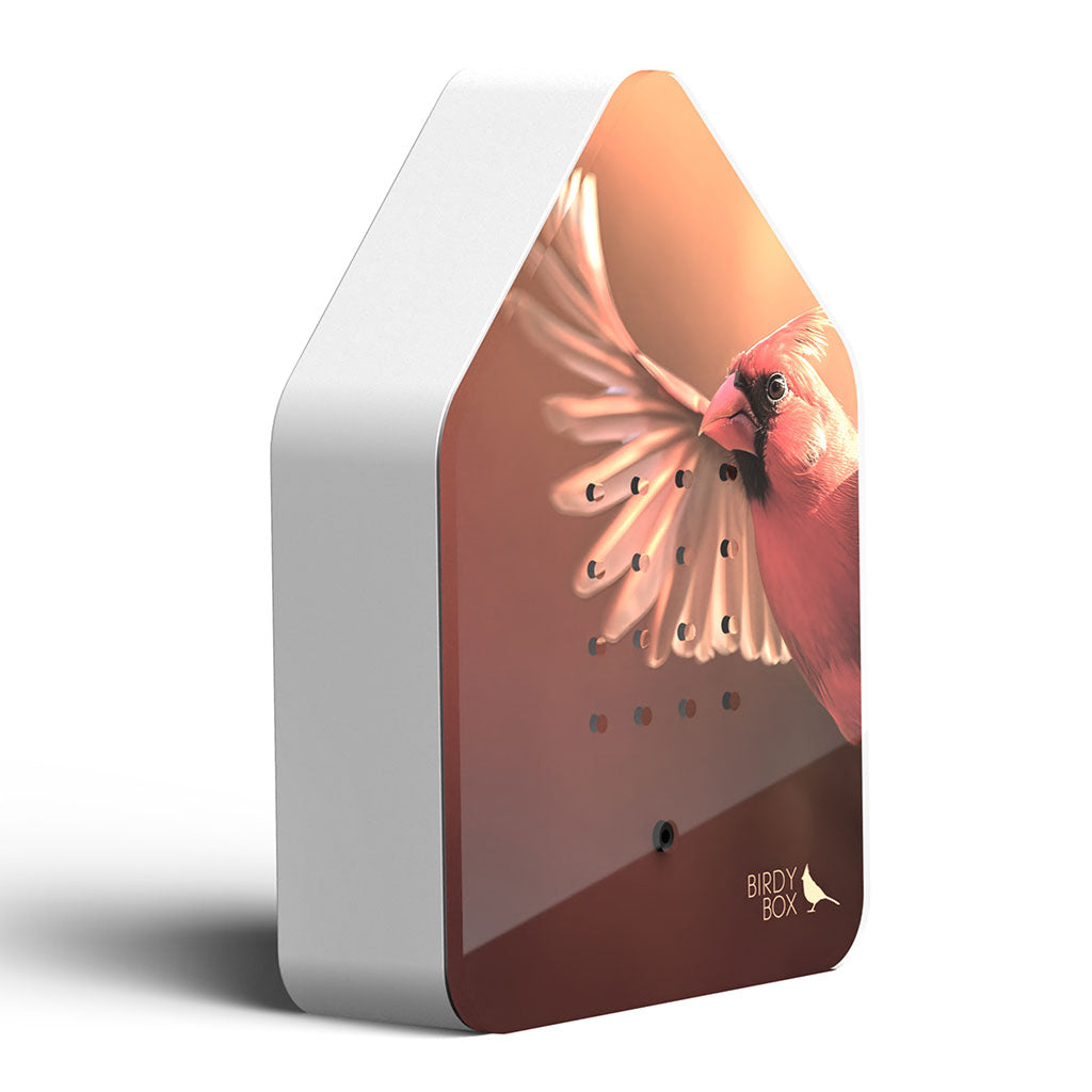 Bird Soundbox: Red Cardinal、mySite、topwebapps