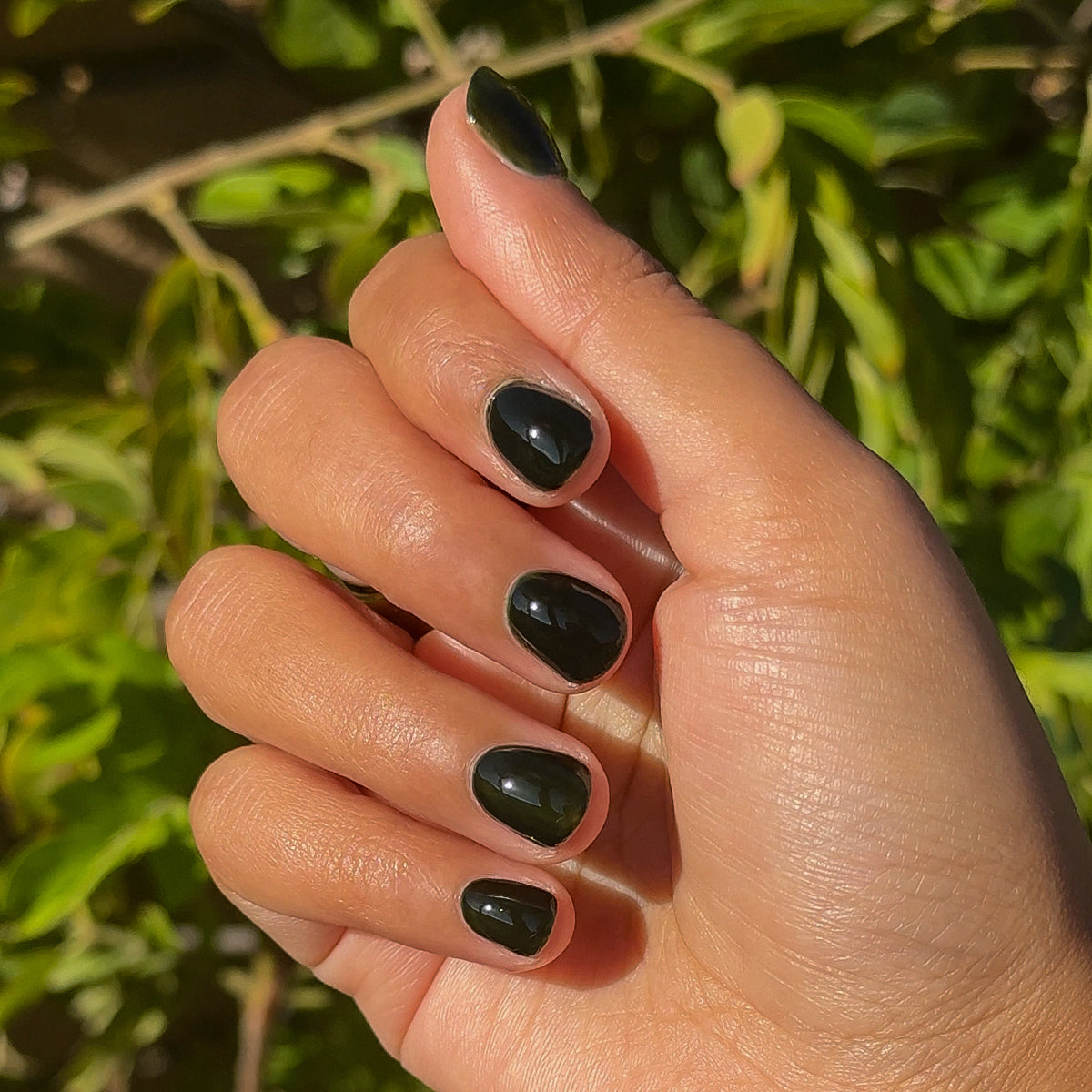 Latenight、mySite、solidvoid