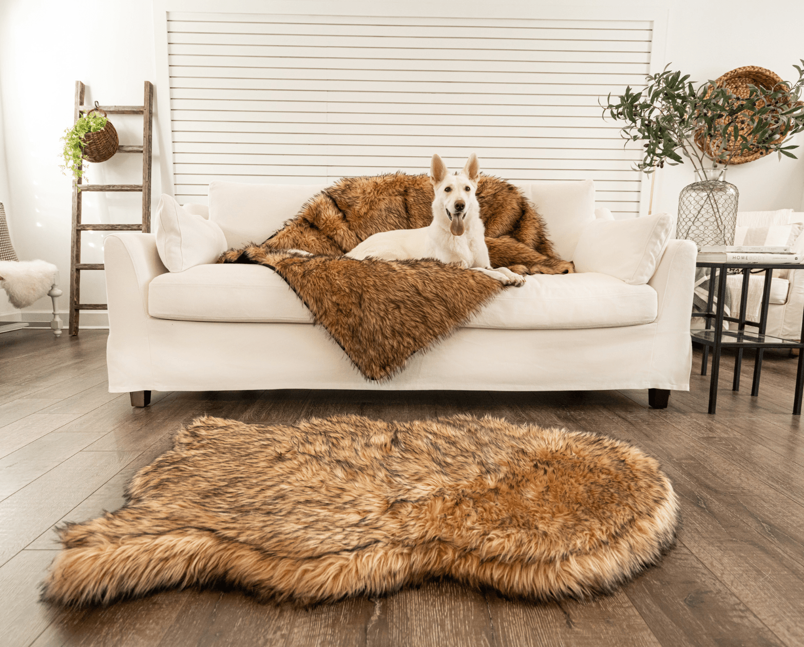 PupRug™ Orthopedic Bed + Matching Waterproof Blanket Bundle- Sable Tan、mySite、solidvoid