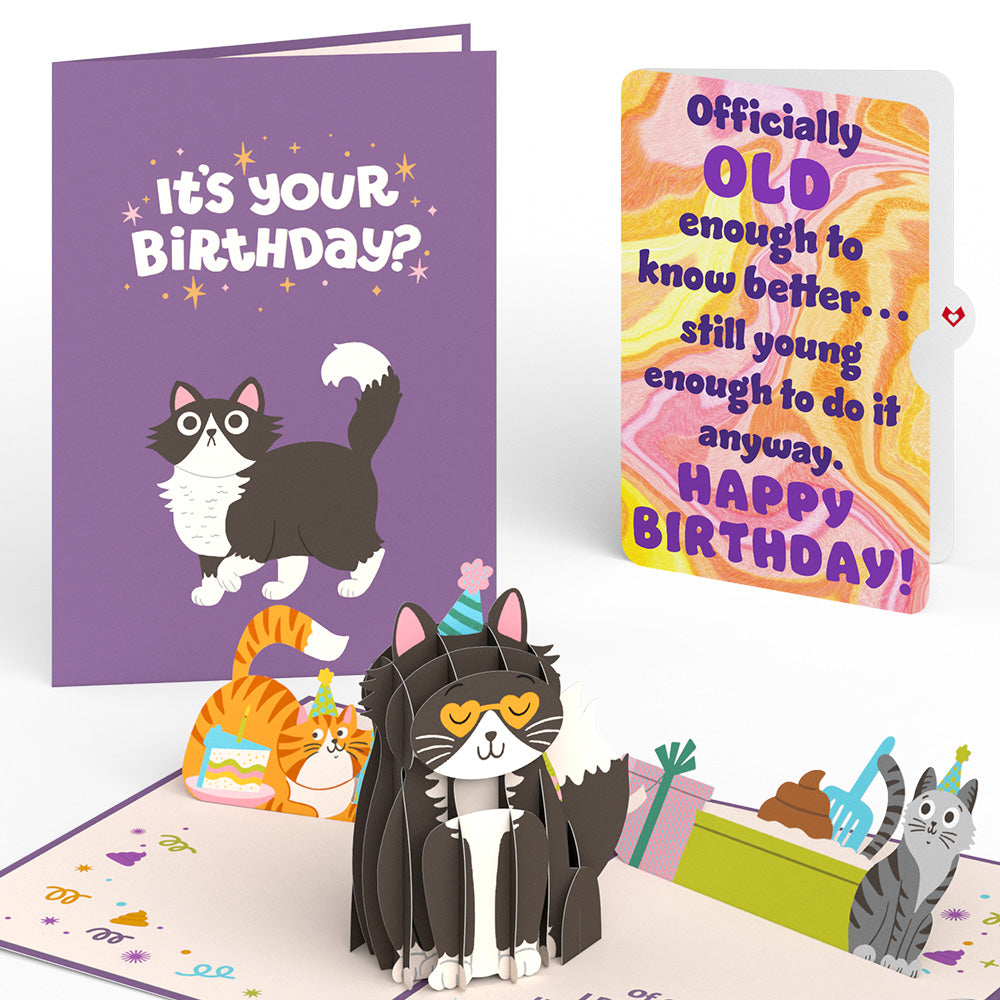 Your Gift Is in the Litterbox Birthday Cat Pop-Up Card and Sentiment Set、mySite、solidvoid