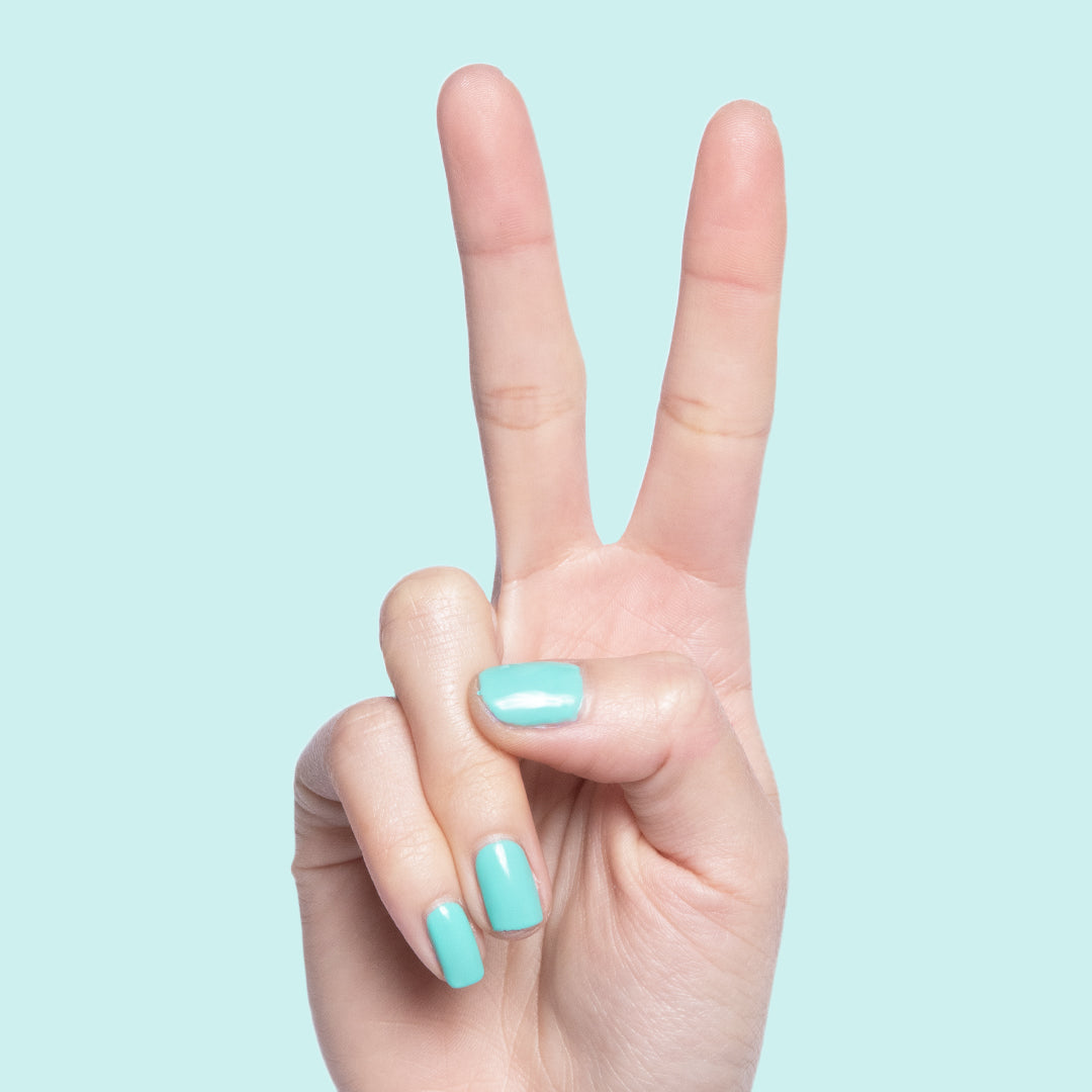 Parakeet、mySite、solidvoid