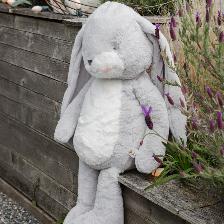 Bigger 26 Floppy Nibble Bunny - Gray、mySite、g9winljtr