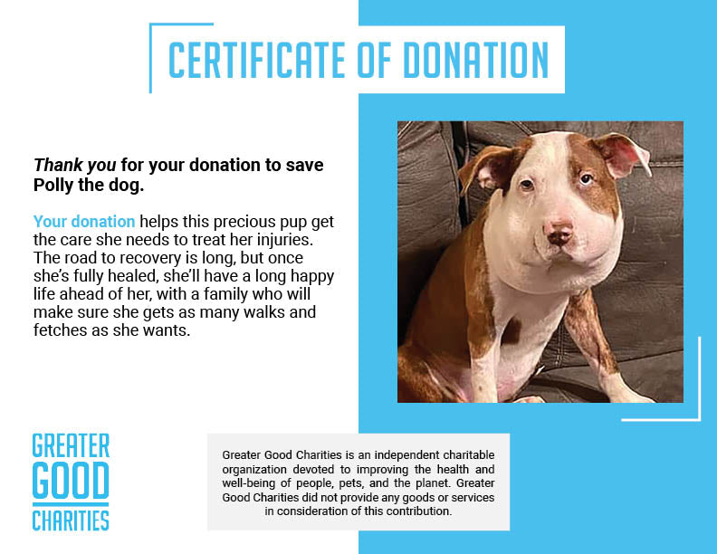 Funded: Help Polly Heal in Peace、mySite、camillekostekn