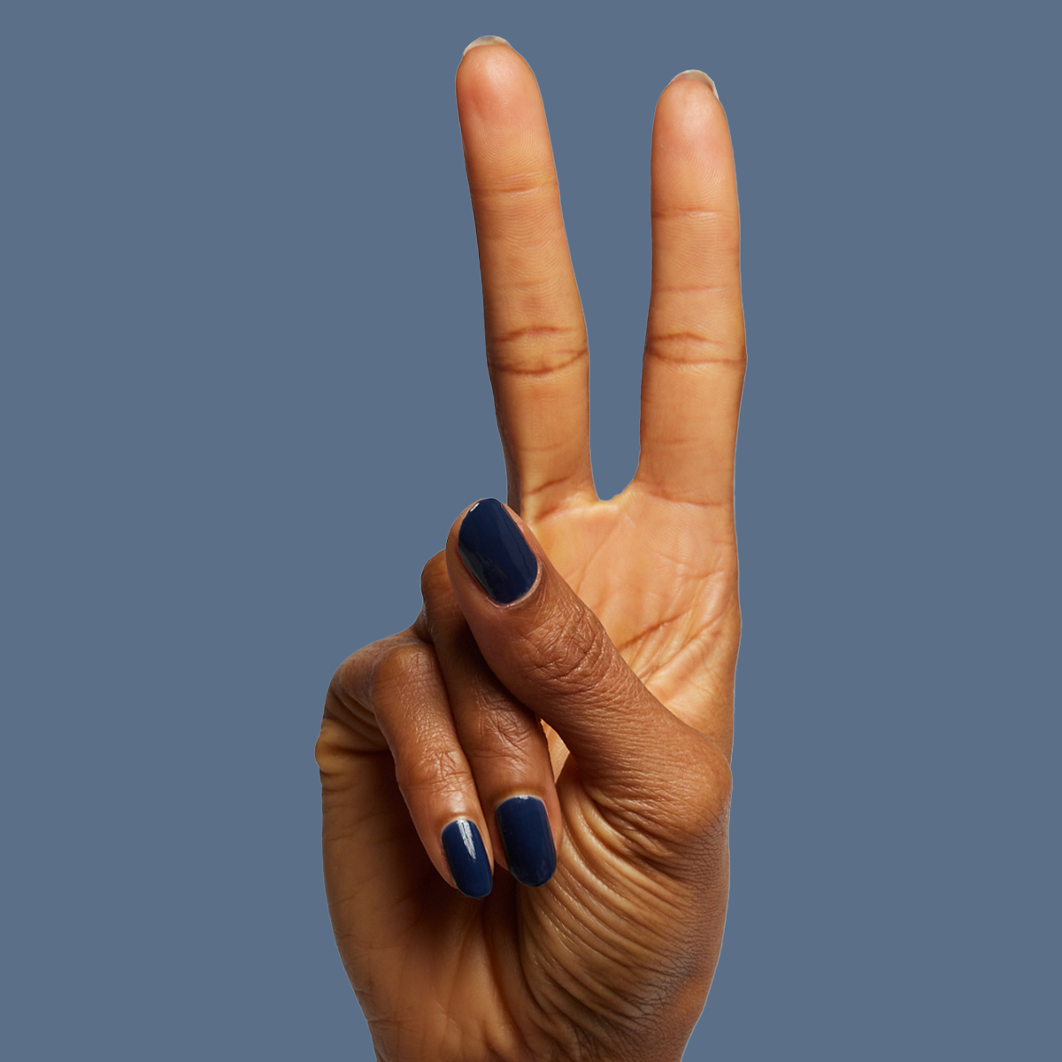 Suited、mySite、solidvoid