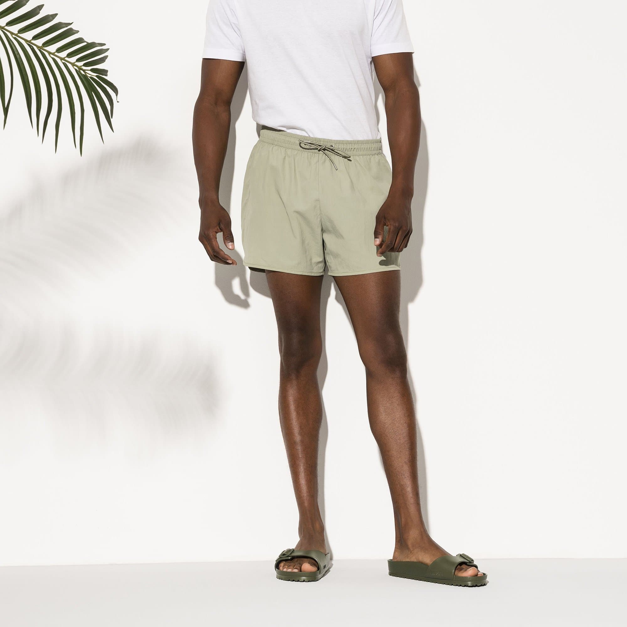 Madrid Essentials EVA、mySite、gtrtttuynbv