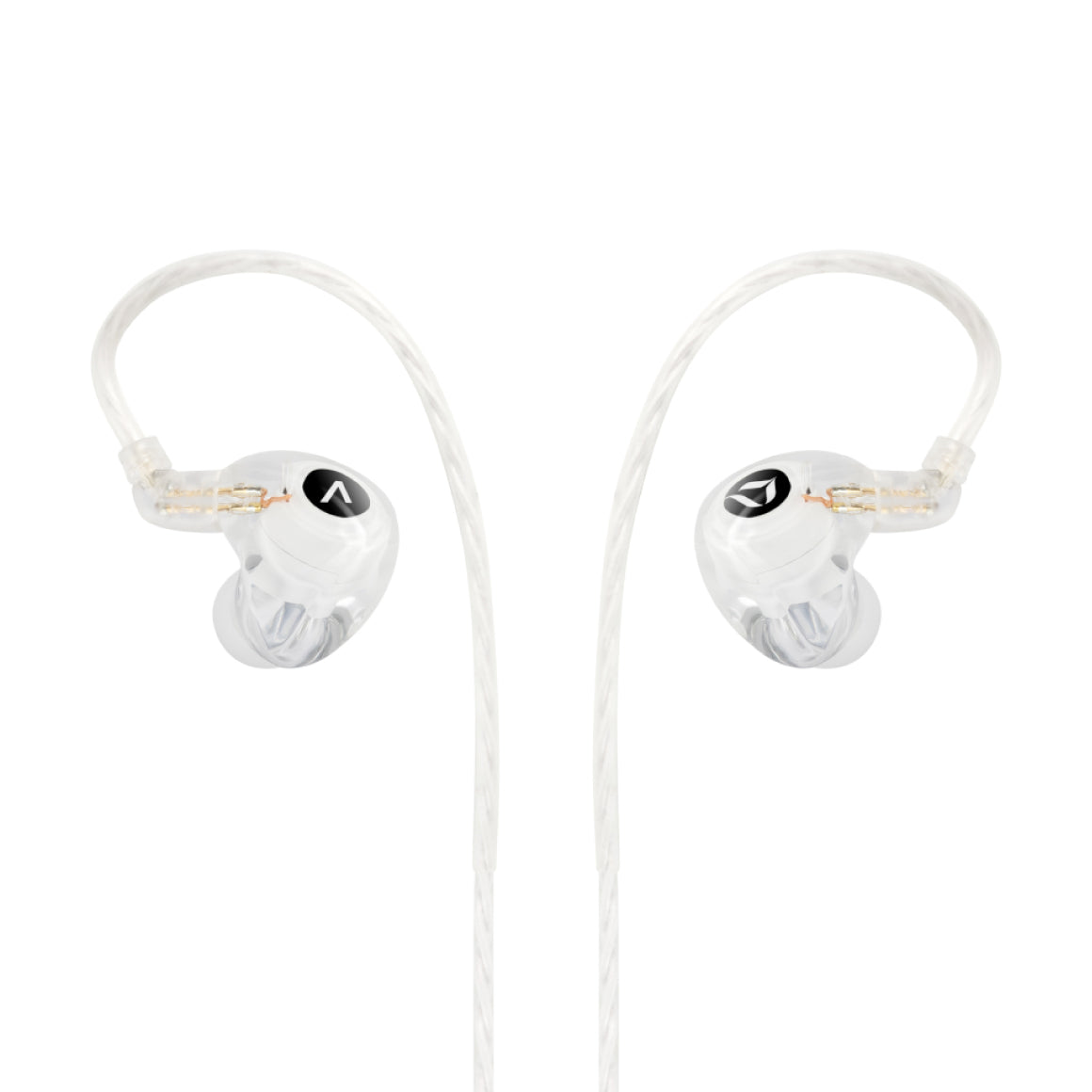  ACTIVO X DITA Audio - Q1、mySite、merchandisen