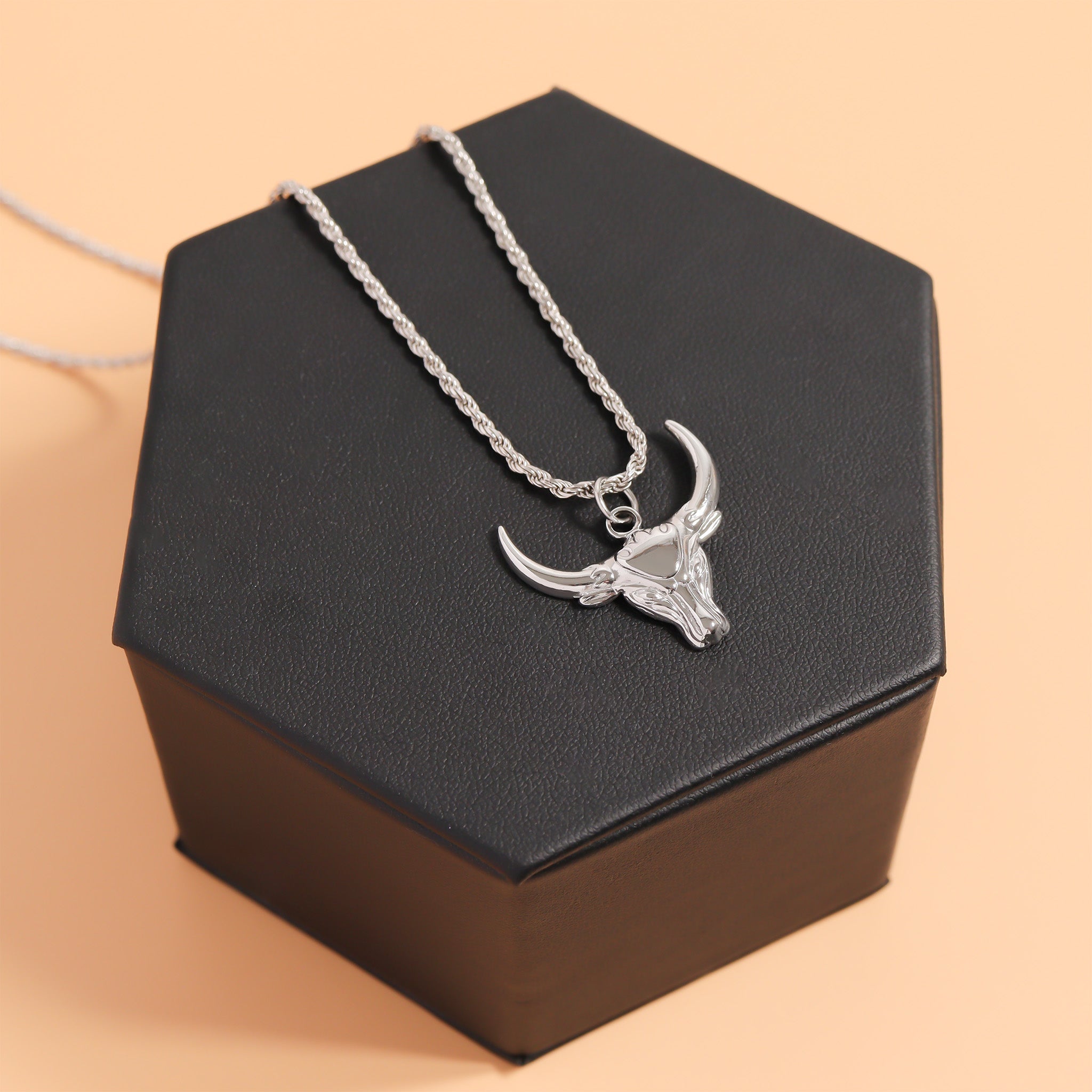 Stainless Steel Rope Chain Necklace / CHN9700、mySite、dreamappss