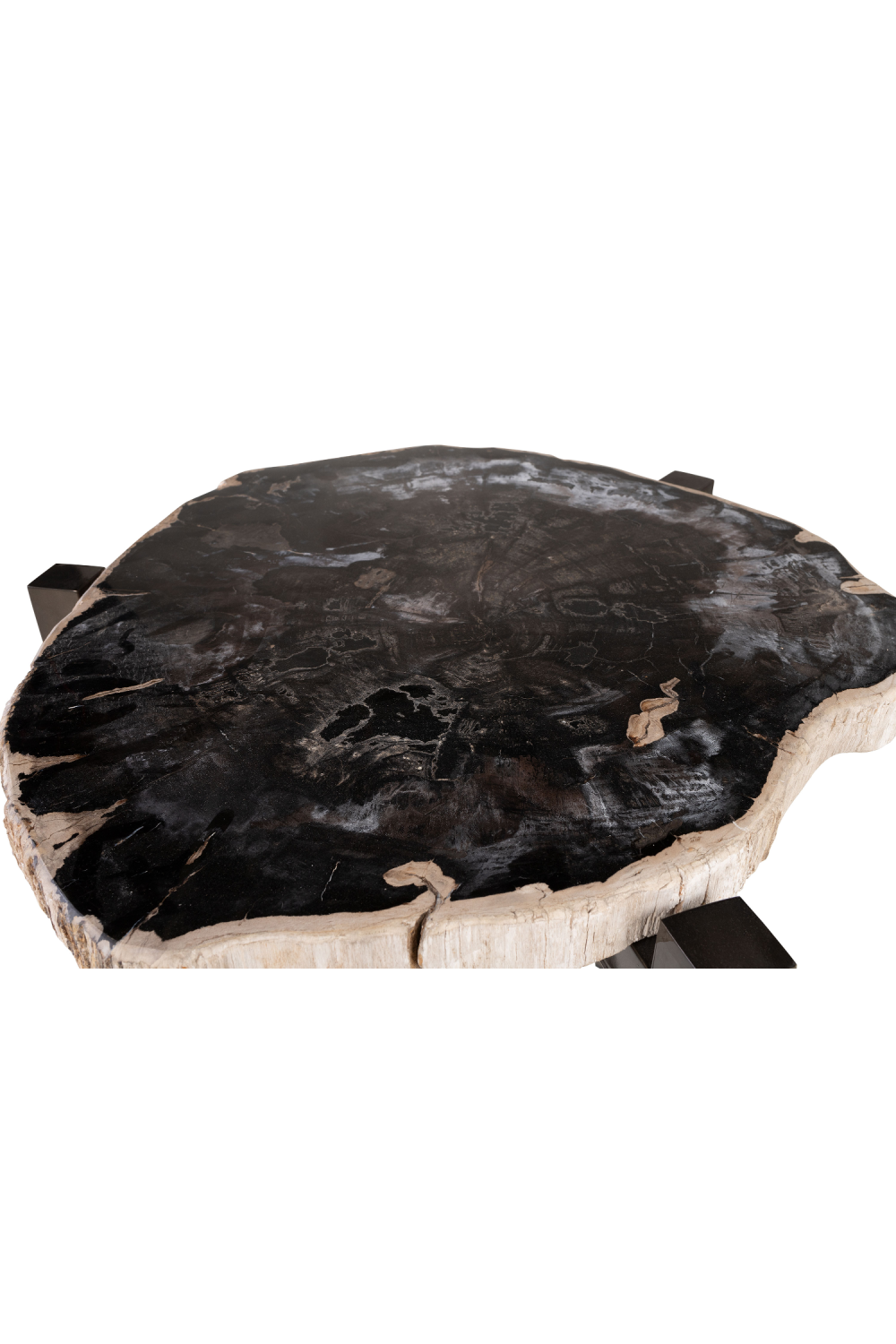 Petrified Wood Occasional Table | Versmissen、mySite、neckold