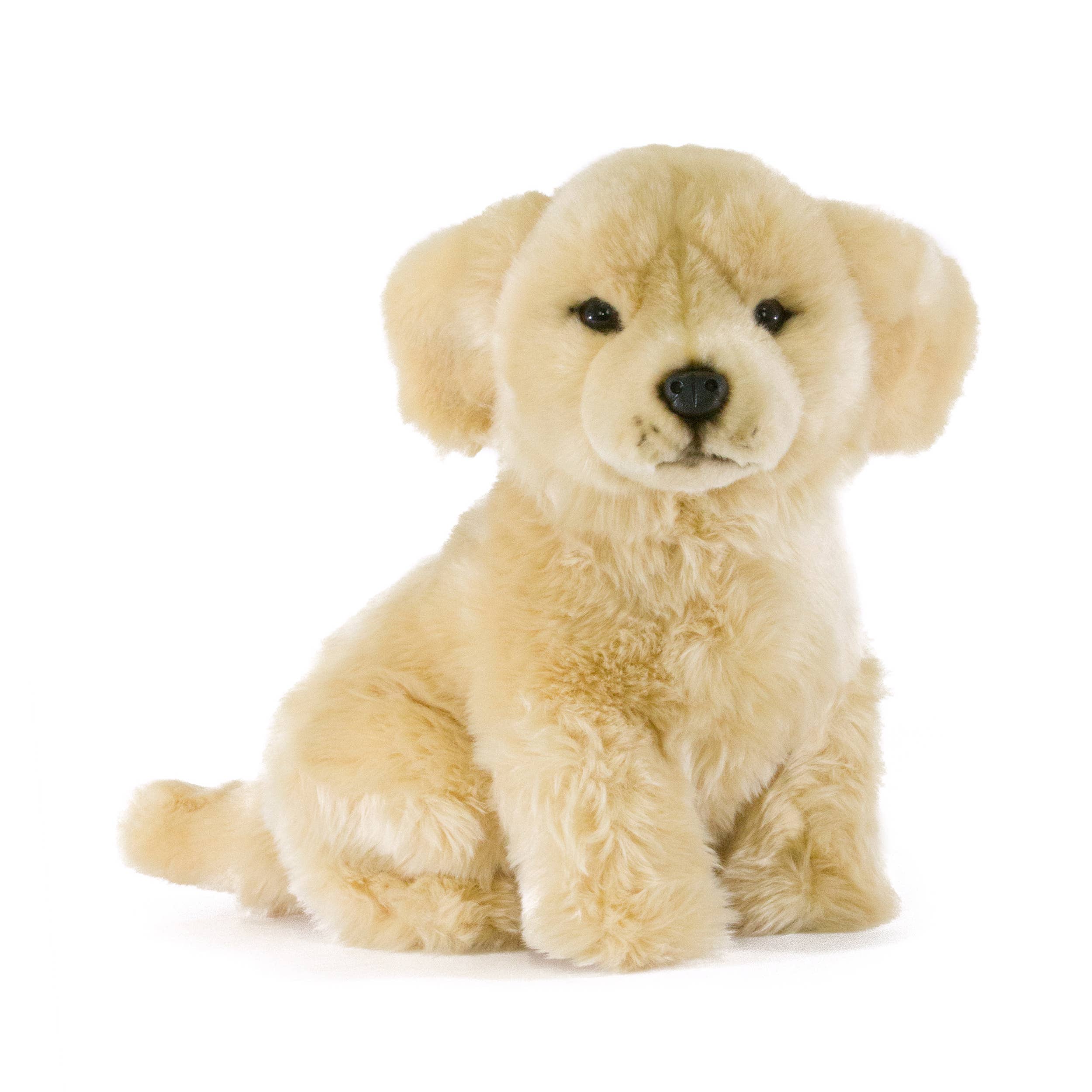 Plush Lifelike Golden Retriever Puppy Small Size 28cm/11、mySite、g9winljtr