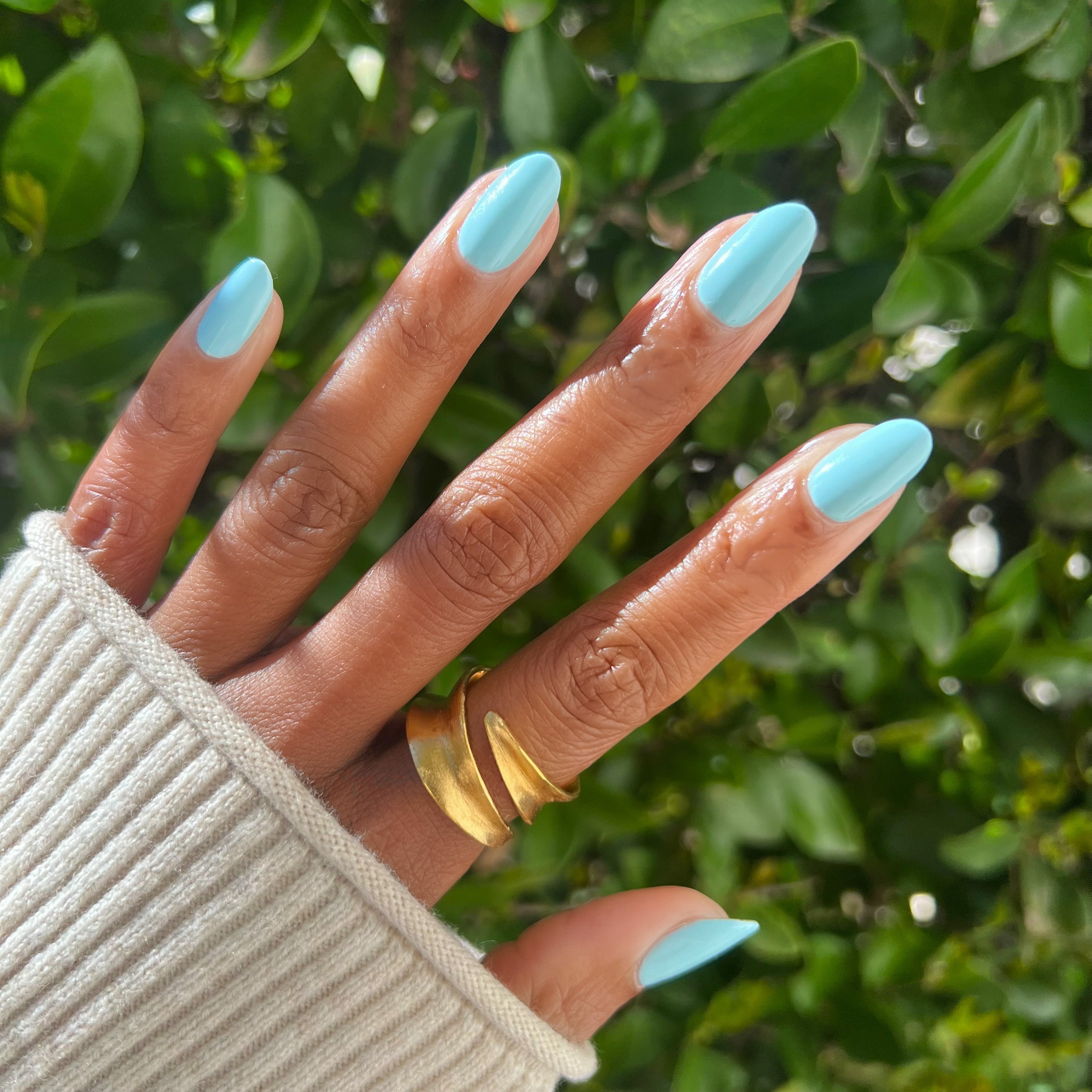 Berry Basket、mySite、solidvoid