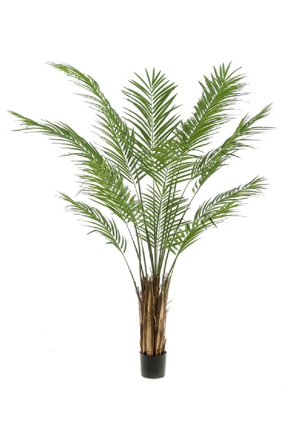 Artificial Tropical Plant Decor Set (2) | Emerald Areca、mySite、neckold